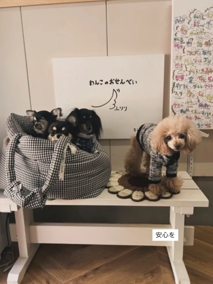 すやすやと眠る息遣い。