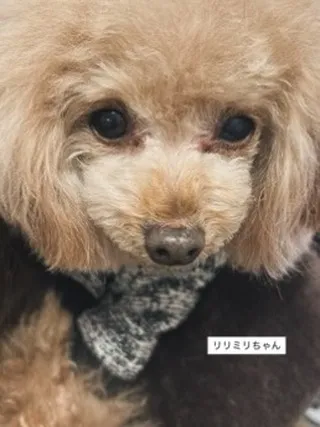 すやすやと眠る息遣い。