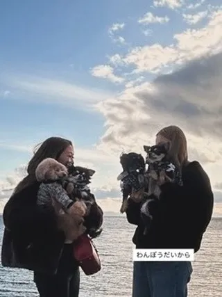 すやすやと眠る息遣い。