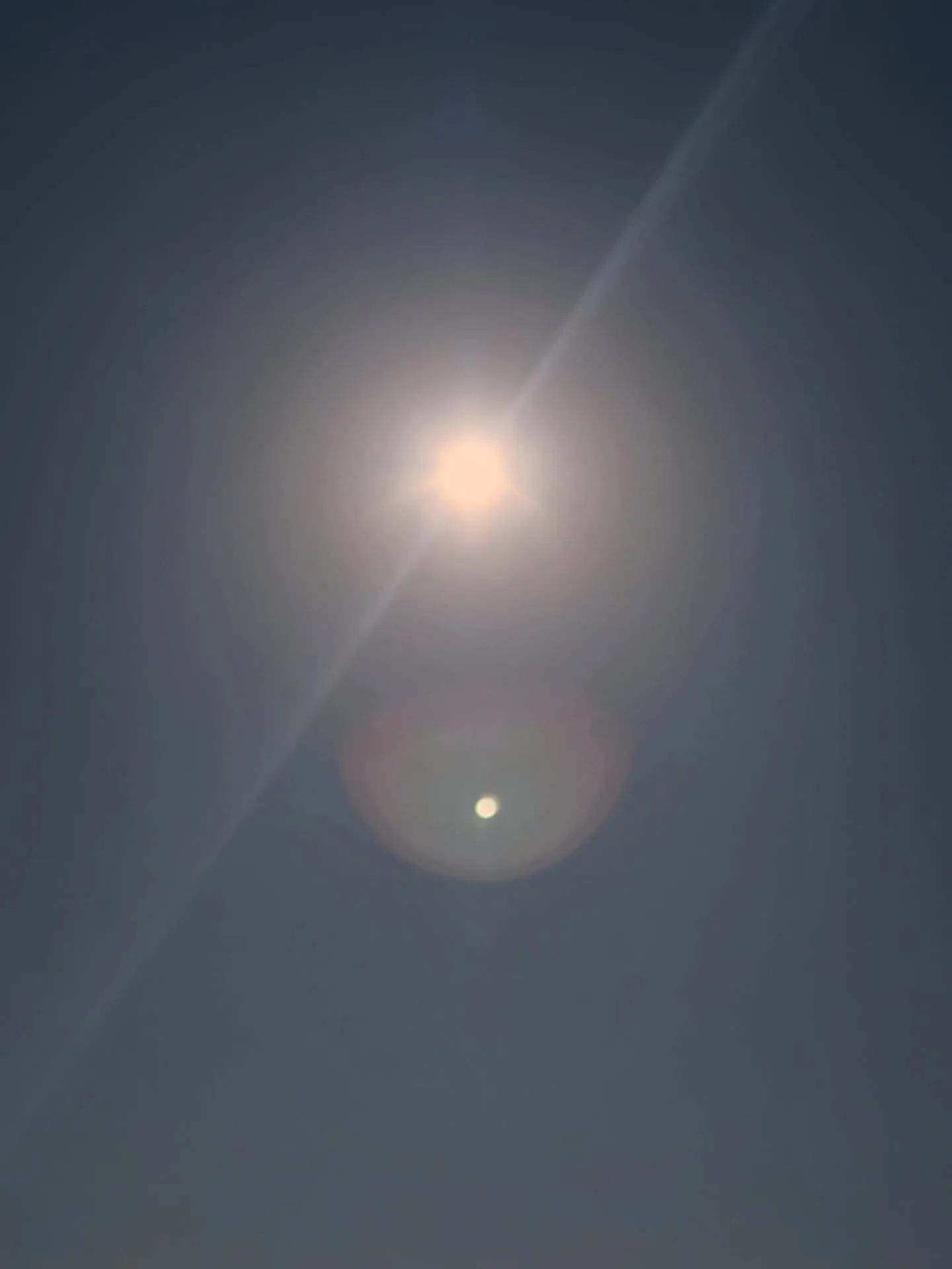 美味しい、には「美しい」という文字が入る。