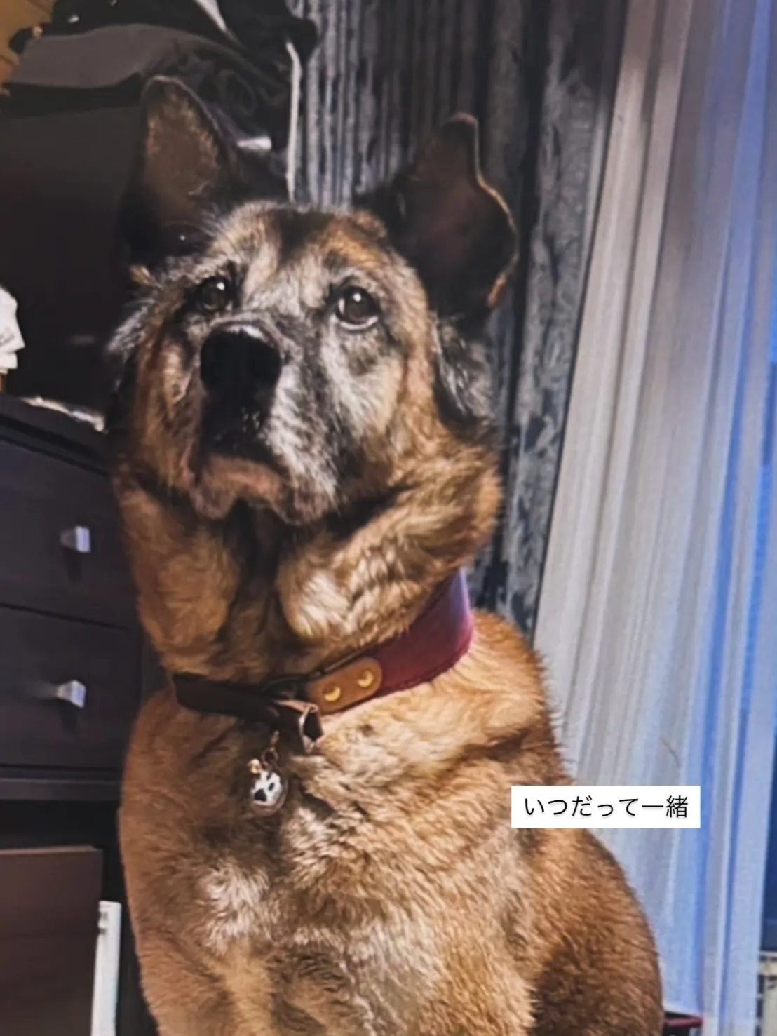 いつだって一緒だから。