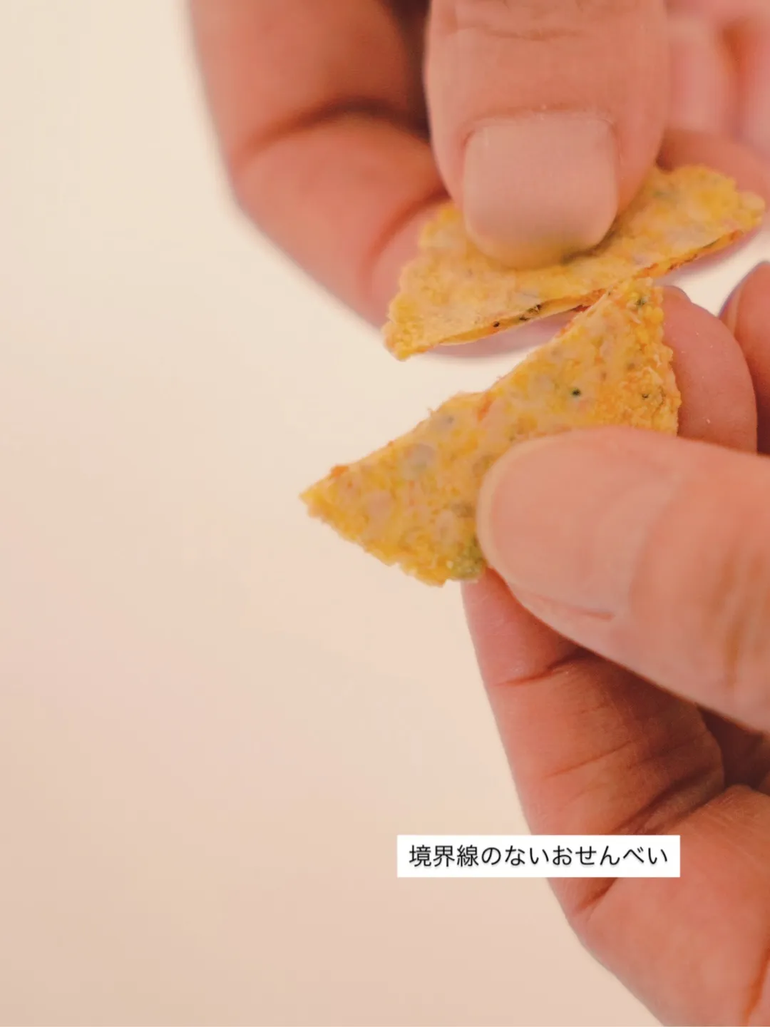 『おせんべいとアート』