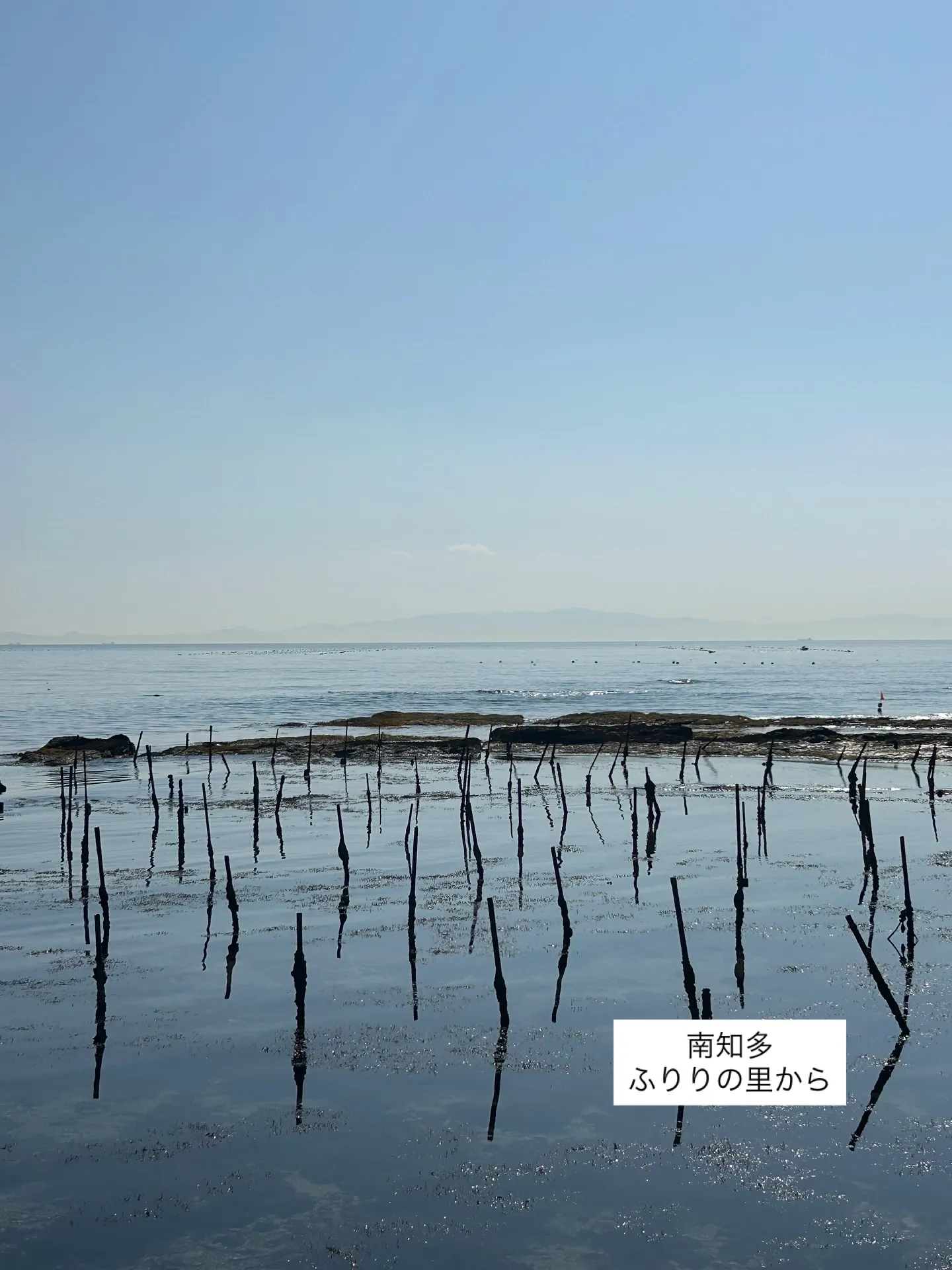 『おせんべいとアート』