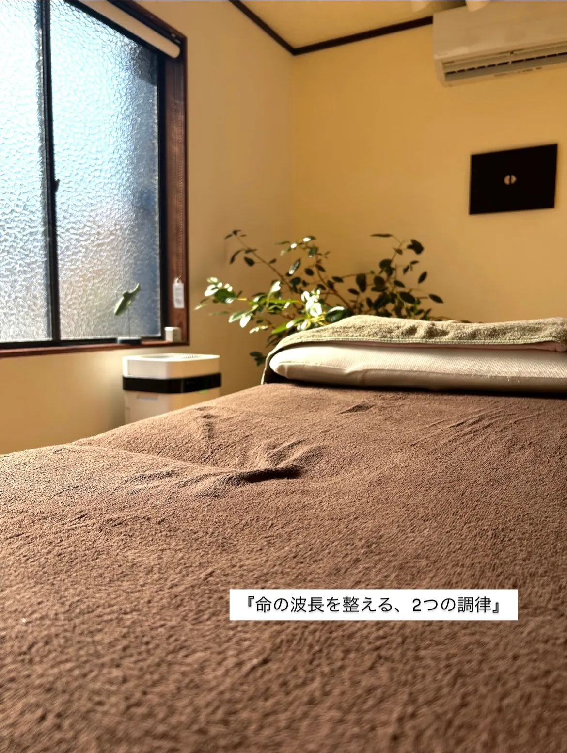 『命の波長を整える、2つの調律』