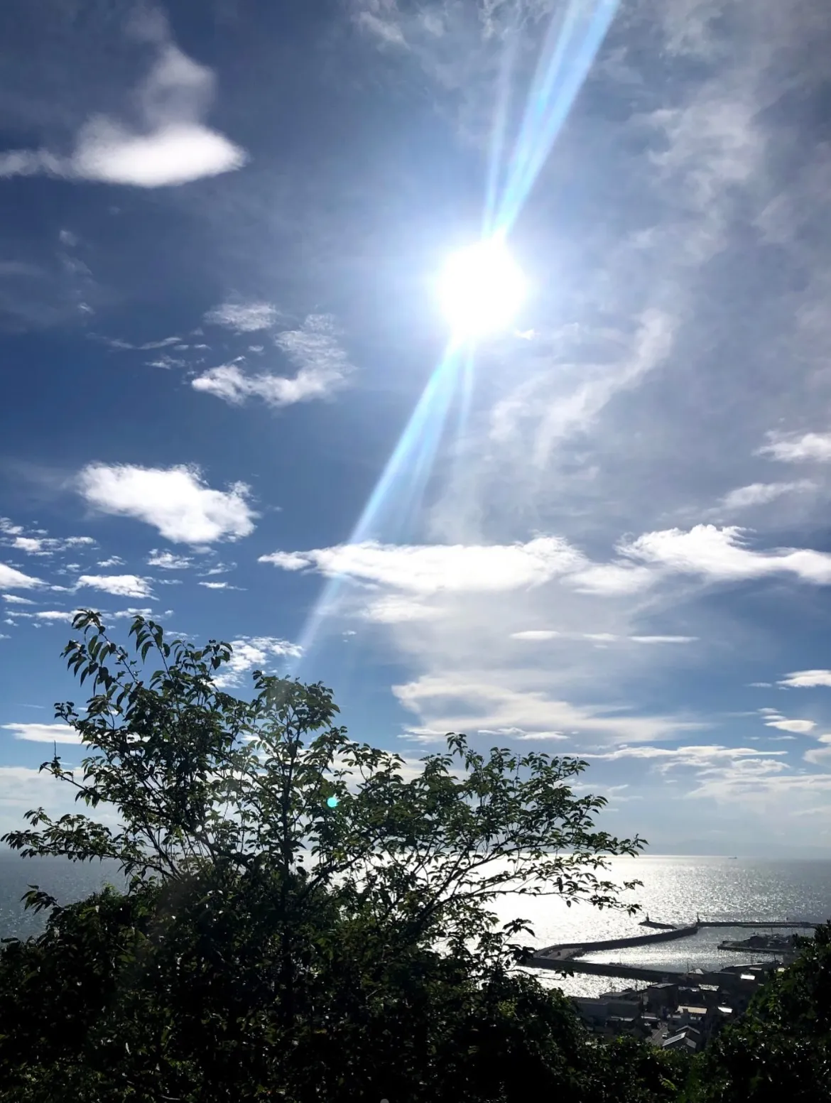 『命の波長を整える、2つの調律』