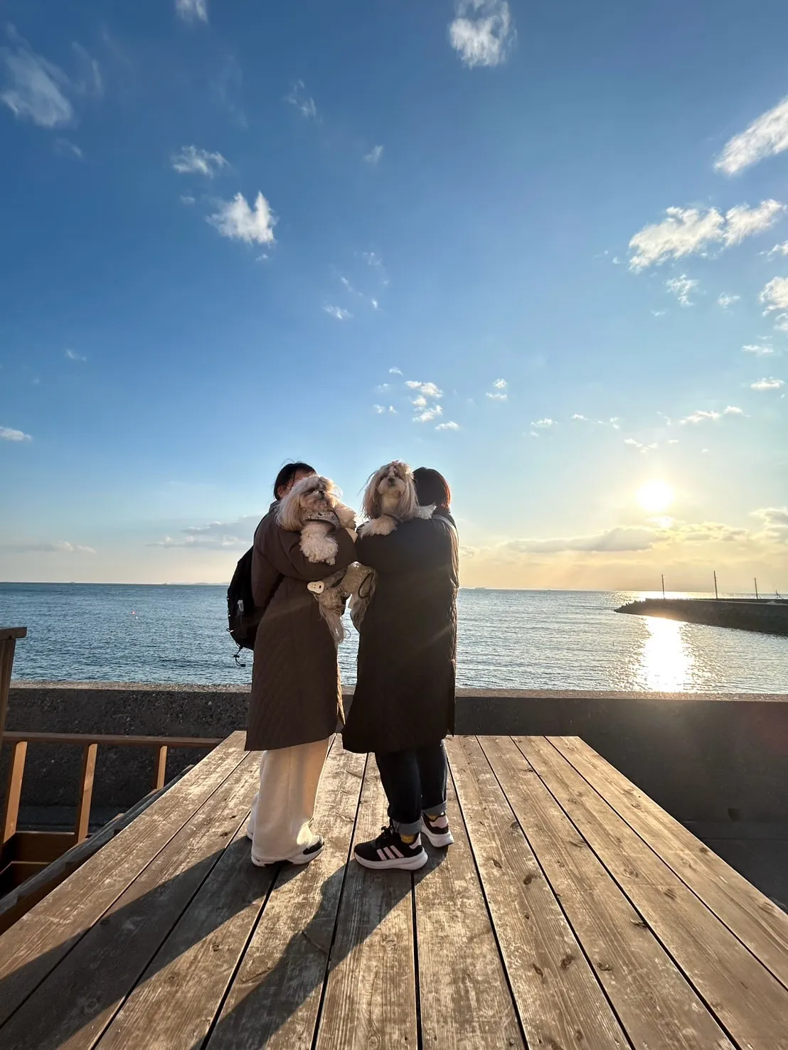 茶々丸くんと詩くん、南知多まで来てくれました。