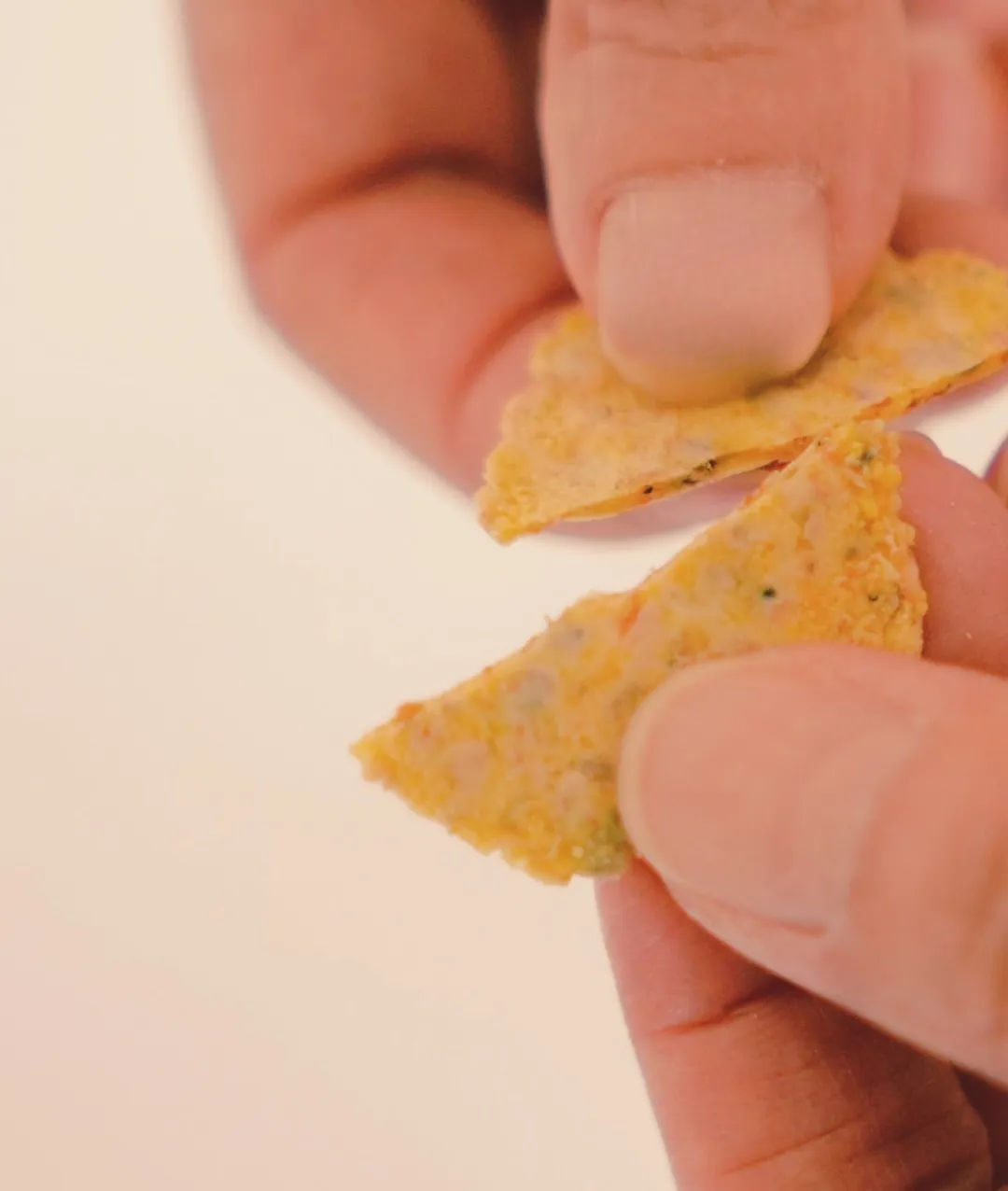 メルクルちゃん、わんぼうだいへ