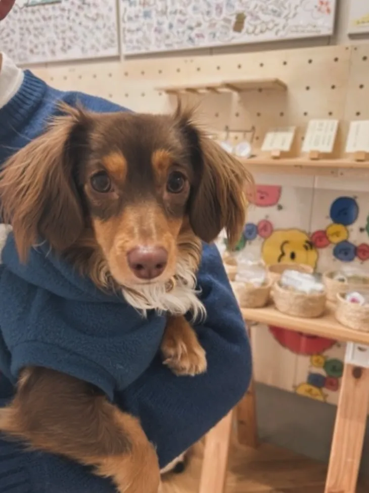 ミモザくんもはんぶんこ。