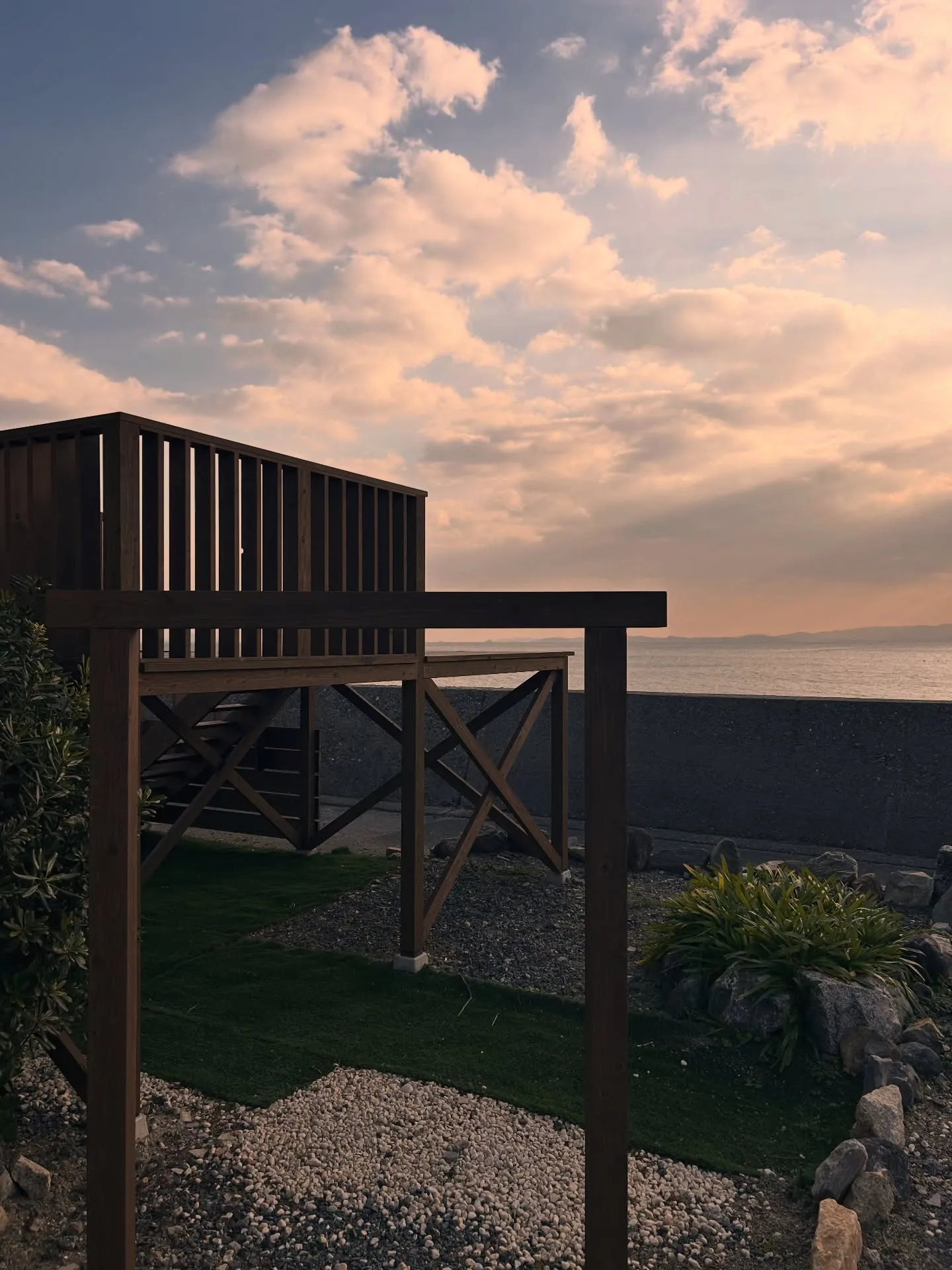 ミモザくんもはんぶんこ。