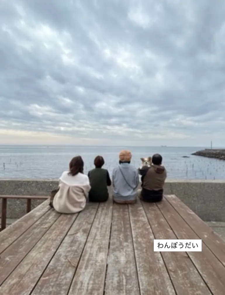 わんぼうだいからの景色。