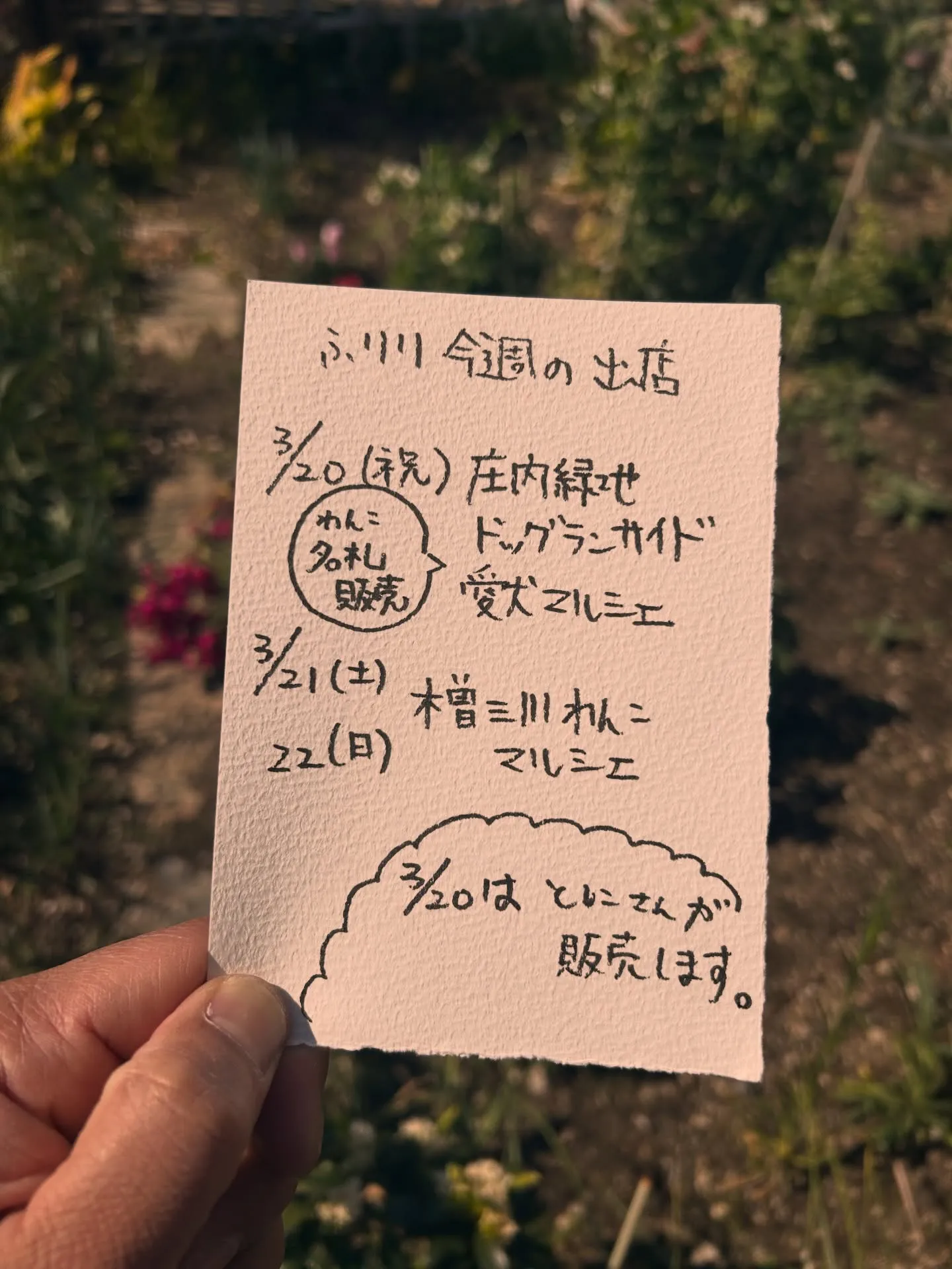 今週の出店のお知らせ。