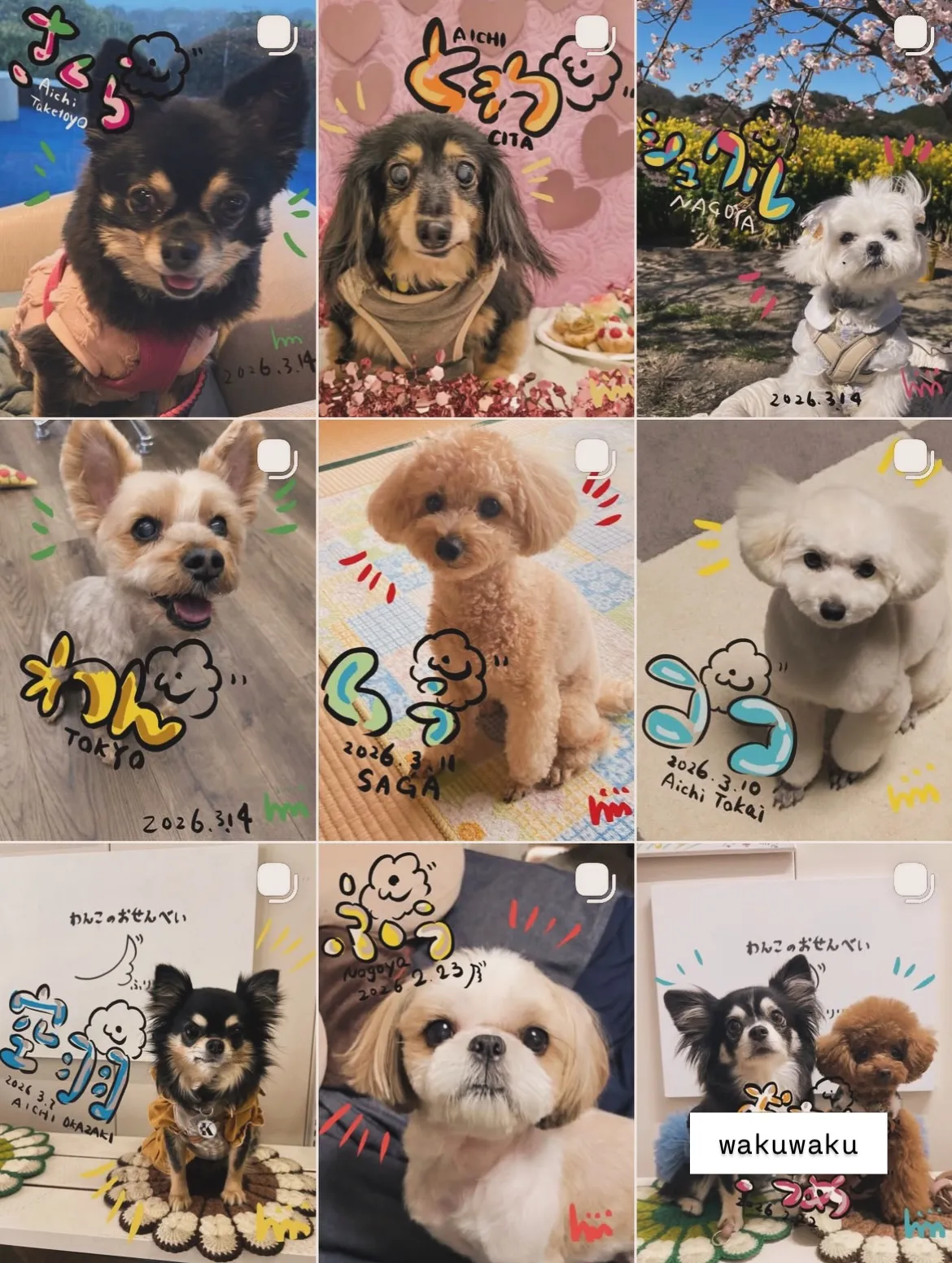 今週末のふりりの里【南知多】