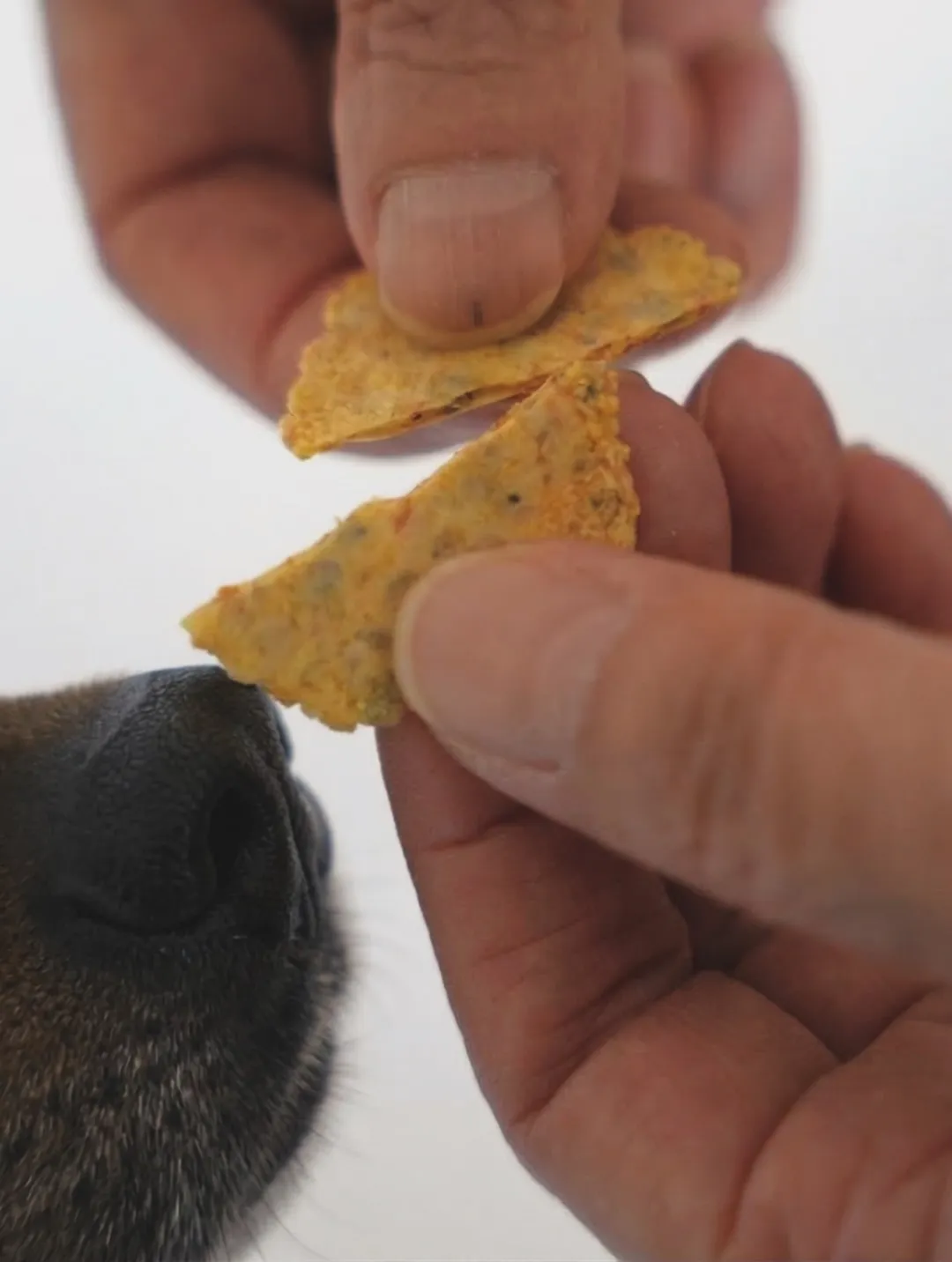 今週のふりりの里 🌿営業時間