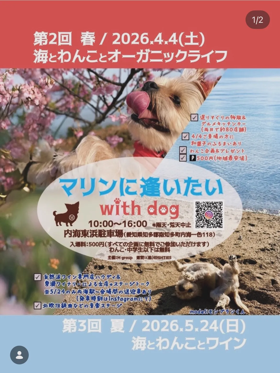 今週のふりりの里 🌿営業時間