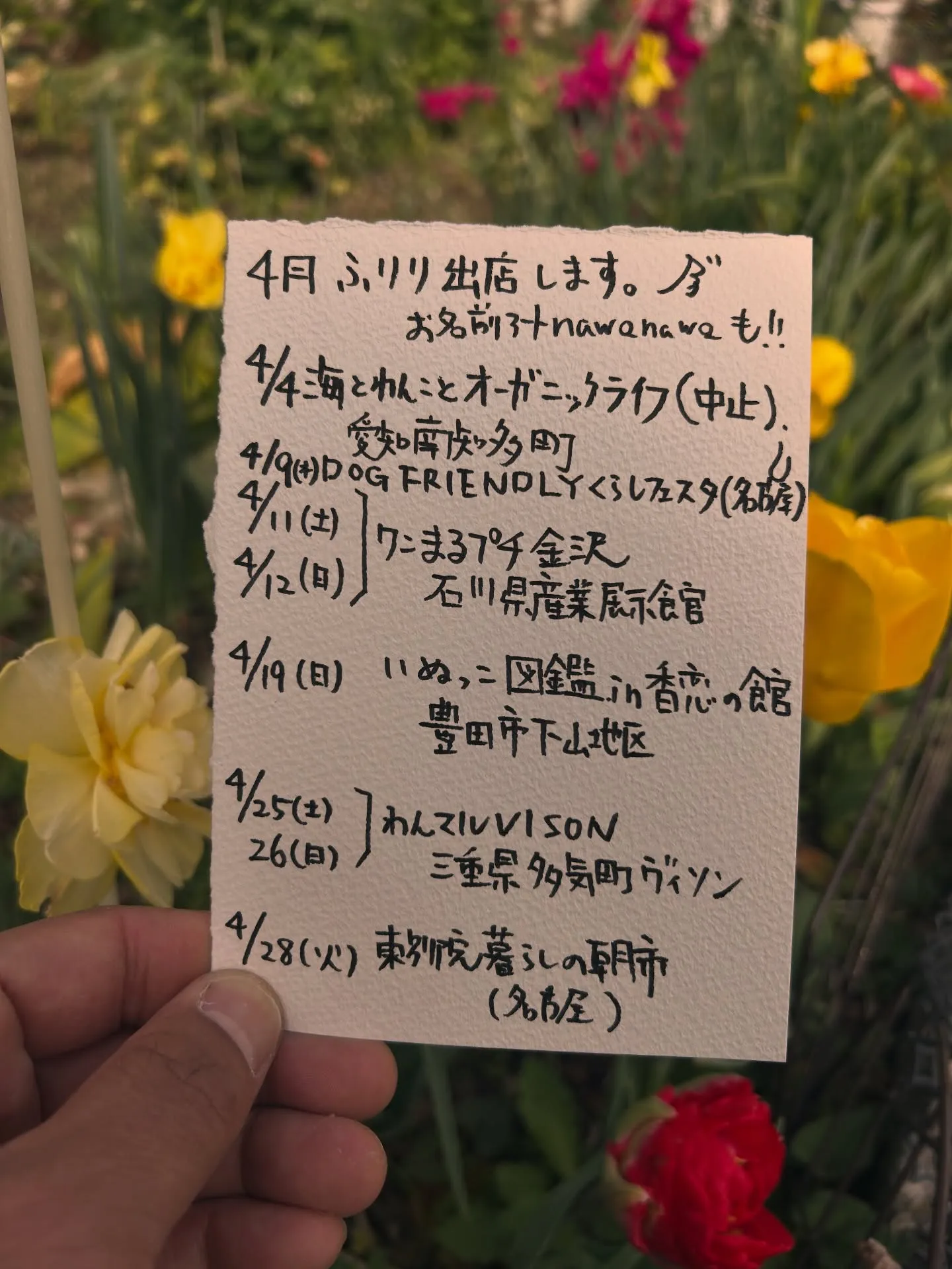 4月、ふりりの出店🐾