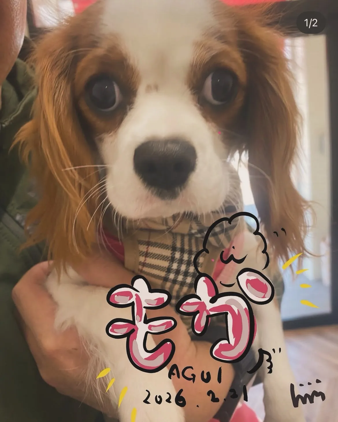 ふりりの里へ来てくれてありがとう😊