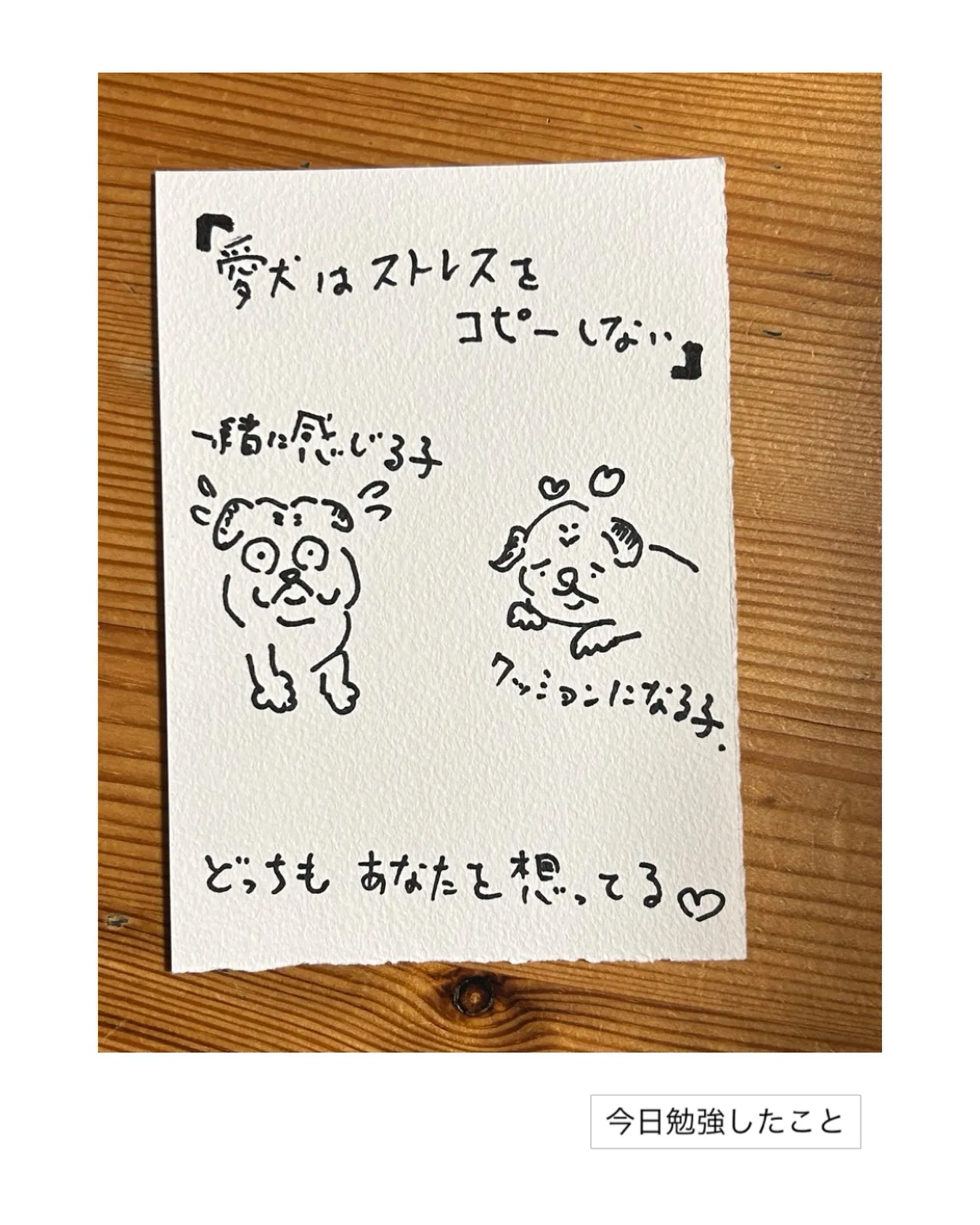 愛犬はあなたのストレスを