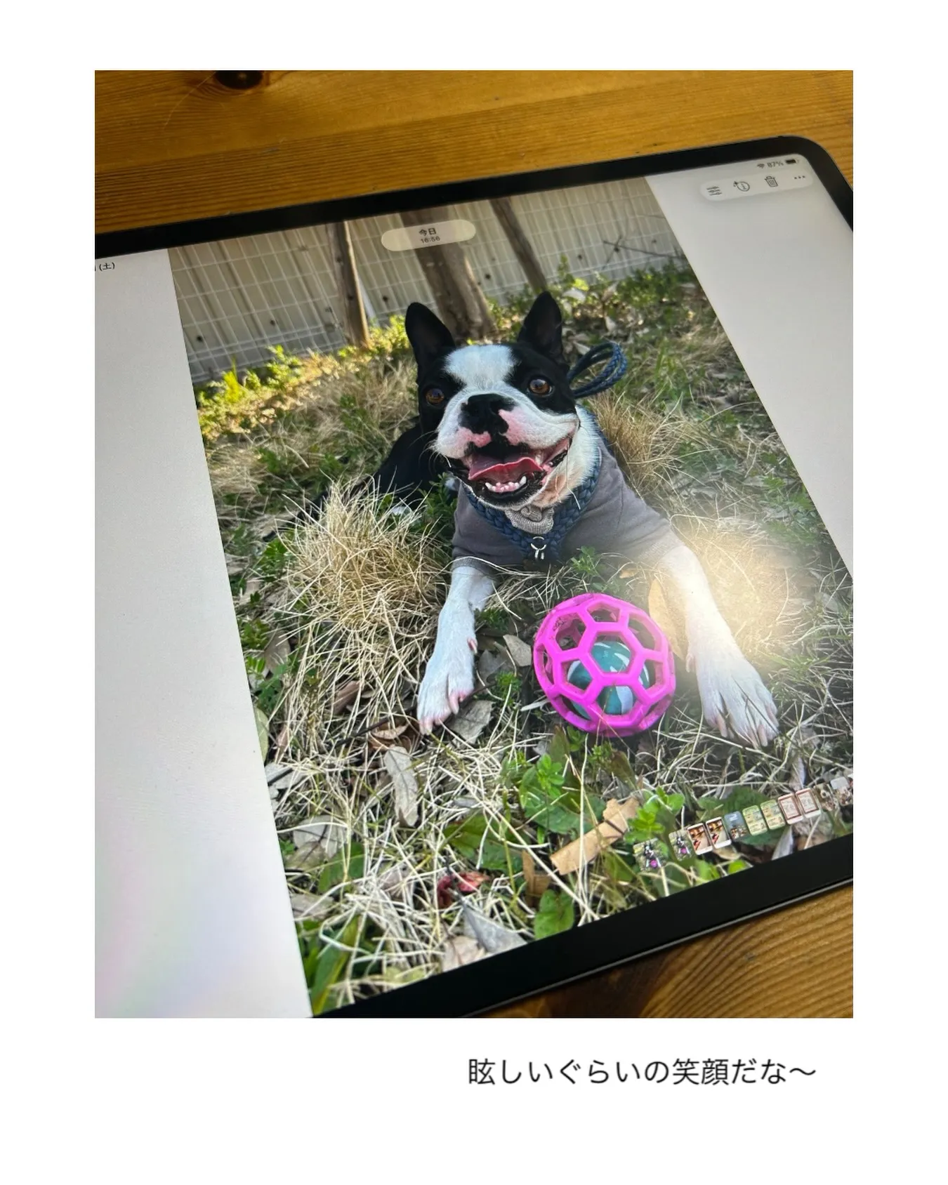 眩しいぐらいの笑顔だな。