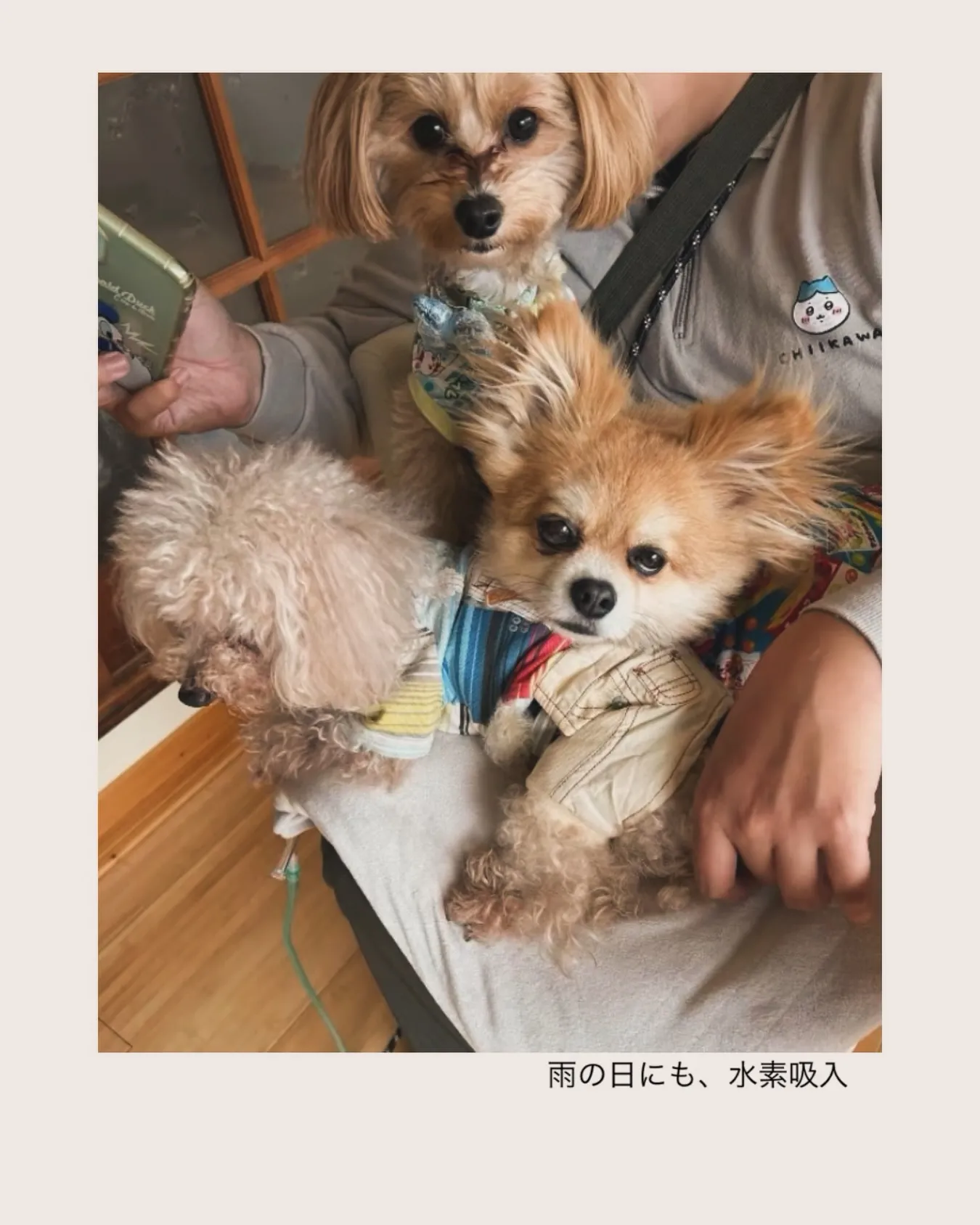 雨の日にも水素吸入。