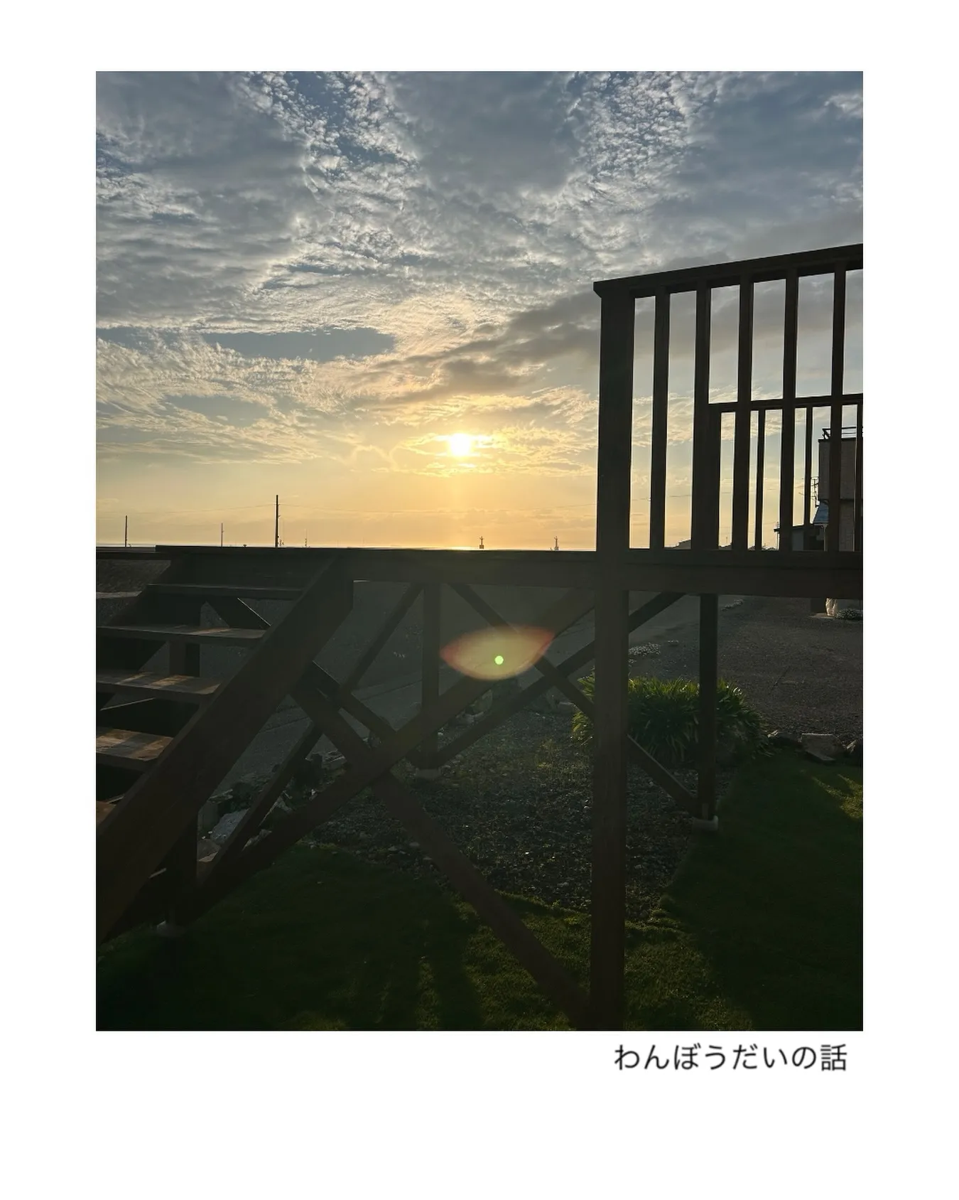 わんぼうだいの話