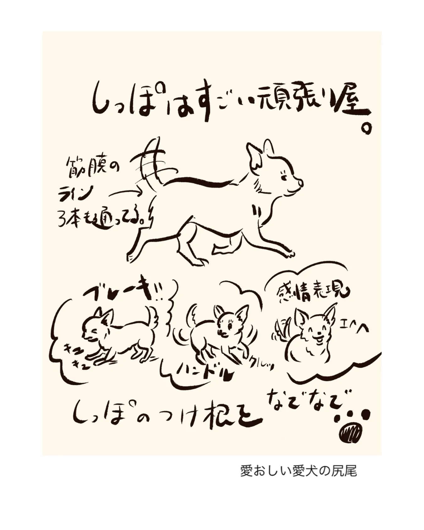 愛おしい愛犬の尻尾。