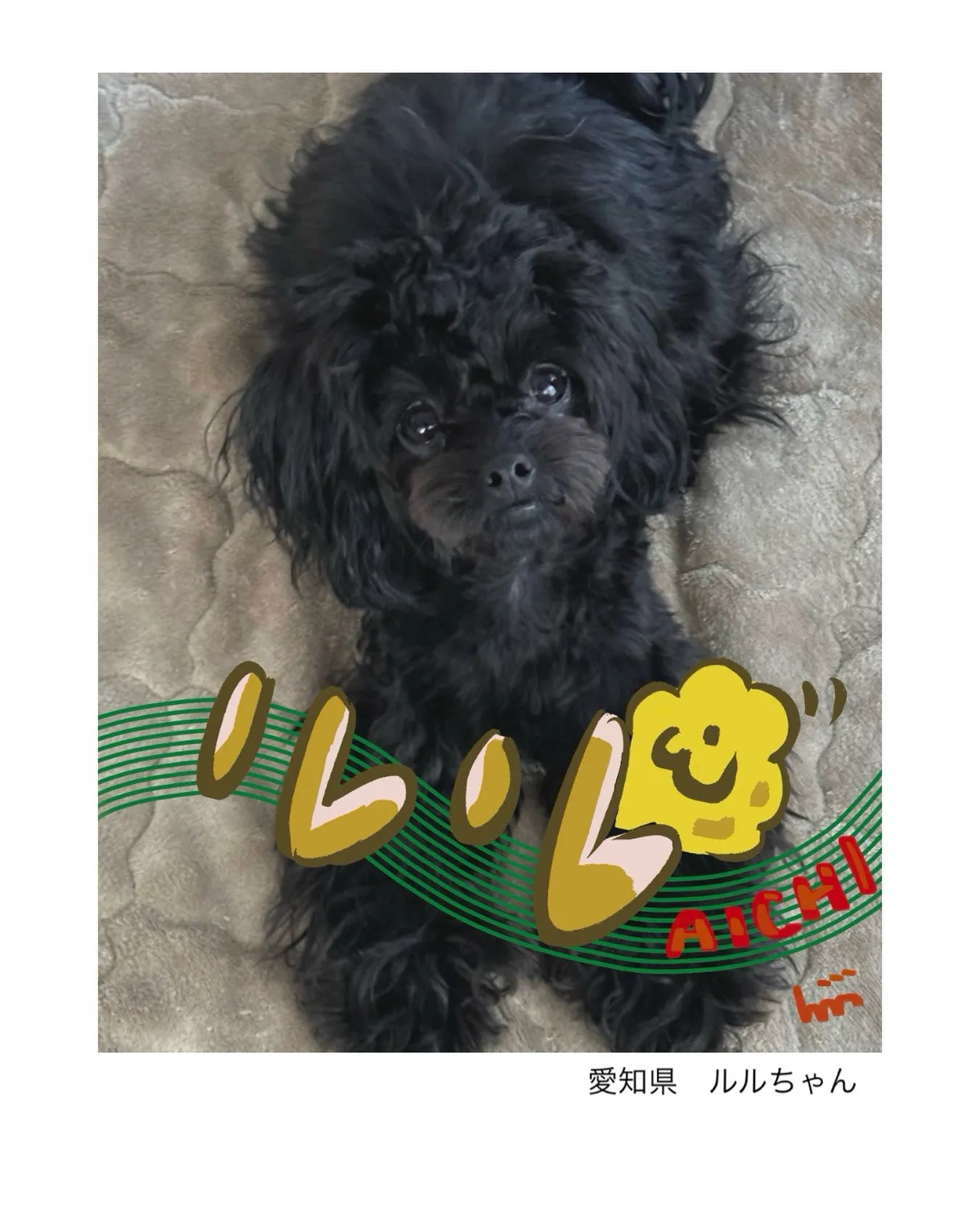 愛知県ルルちゃん