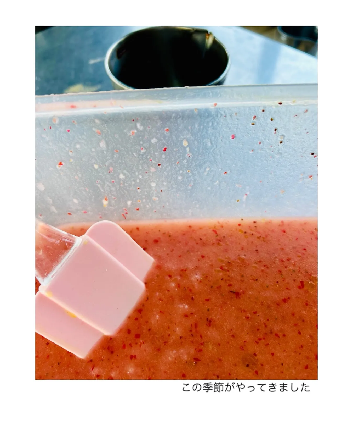 この季節がやってきました。