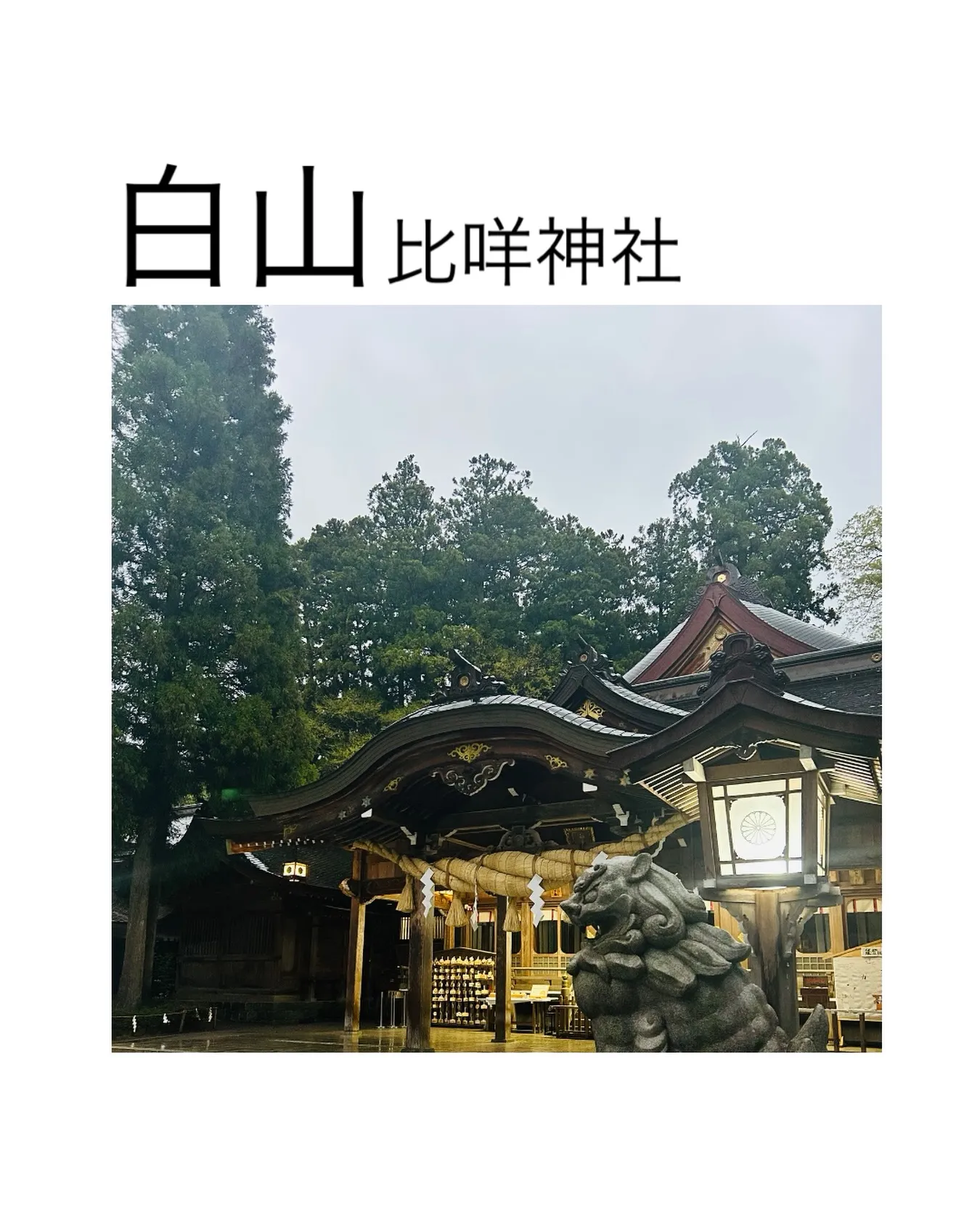 白山比咩神社に行ってきました。
