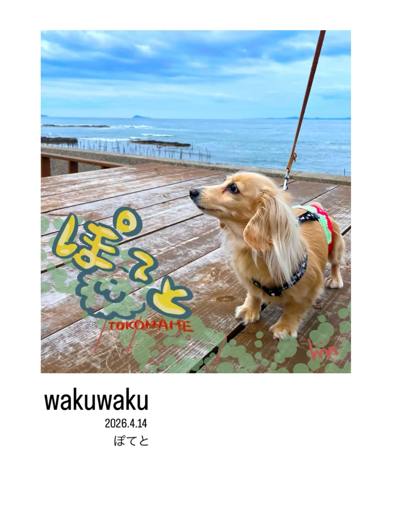 wakuwaku ぽてと