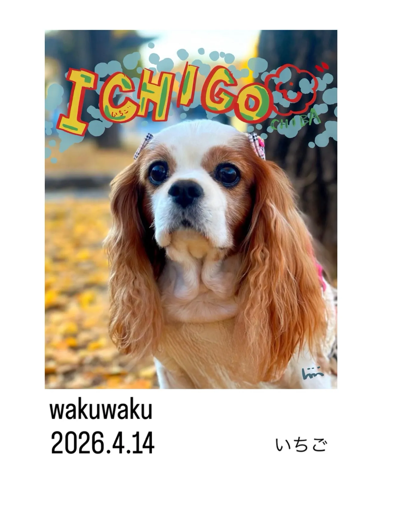 wakuwakuいちご2029.4.14