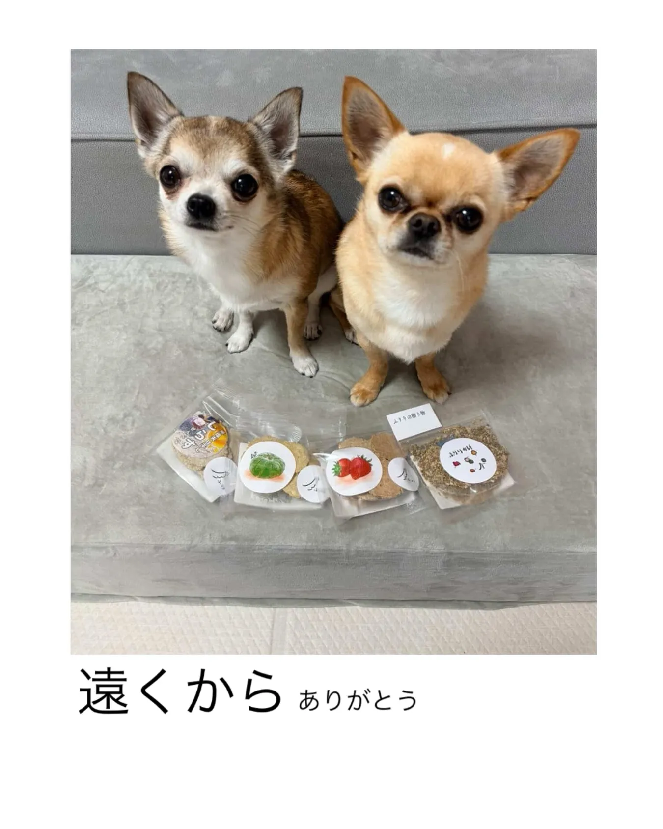 遠くからありがとう。