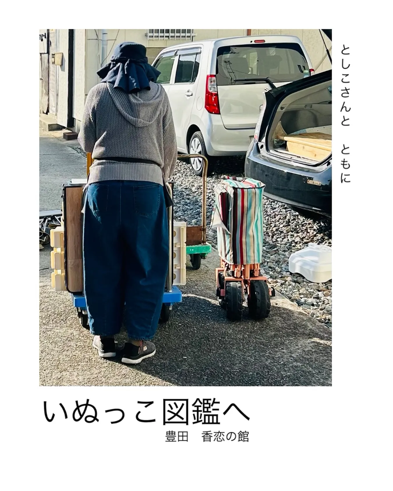 いぬっこ図鑑へ