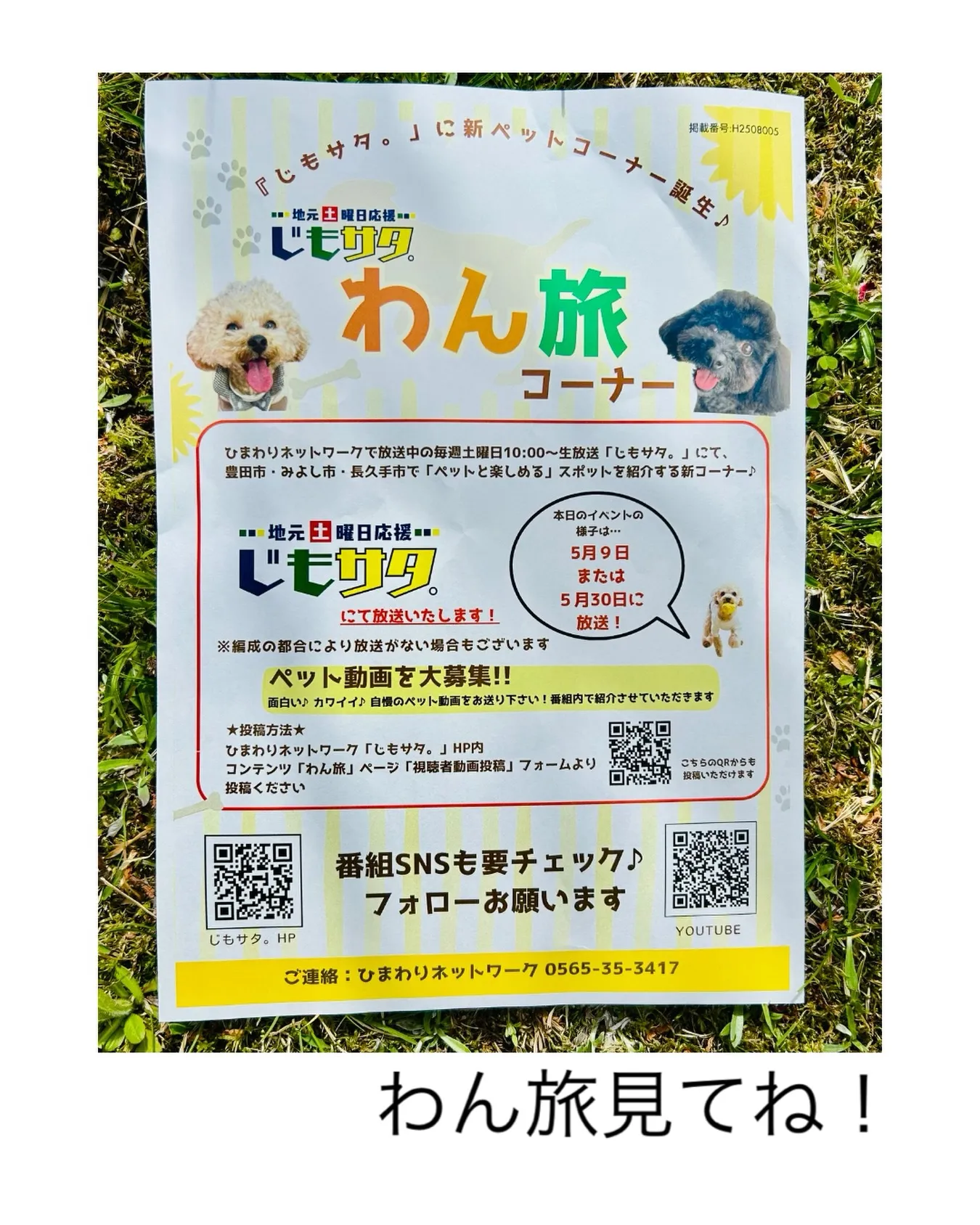 愛知圏豊田市、みよし市、長久手のひまわりネットワークさんあり...