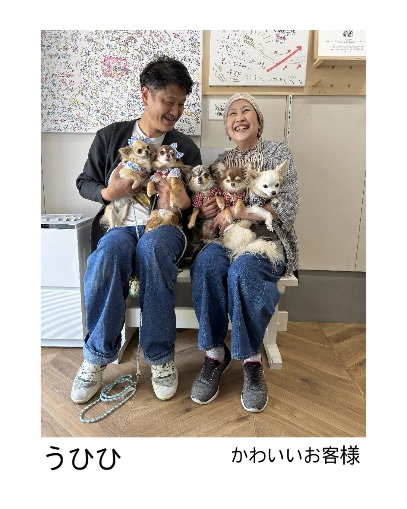 かわいいお客様