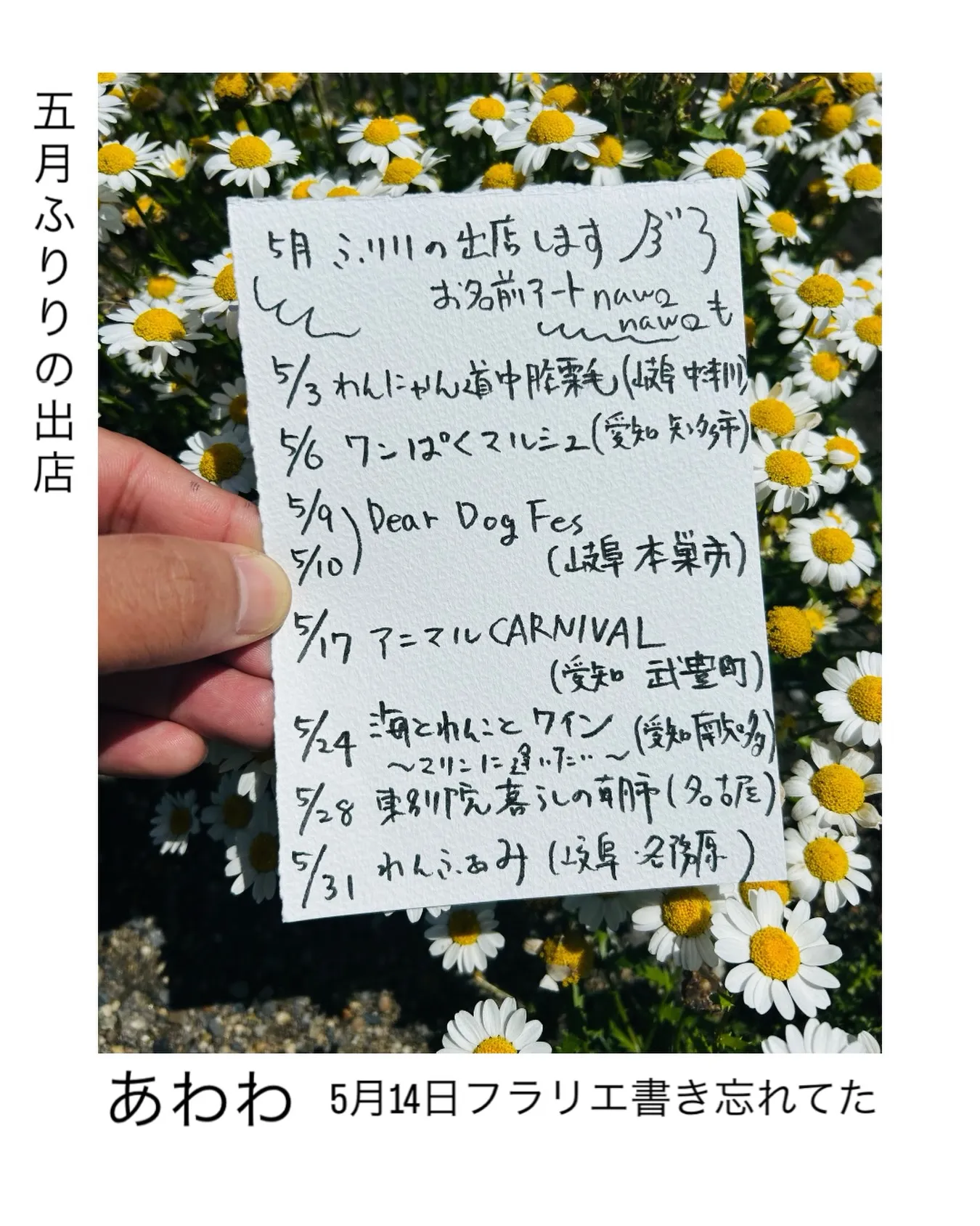 5月の出店スケジュール🌿