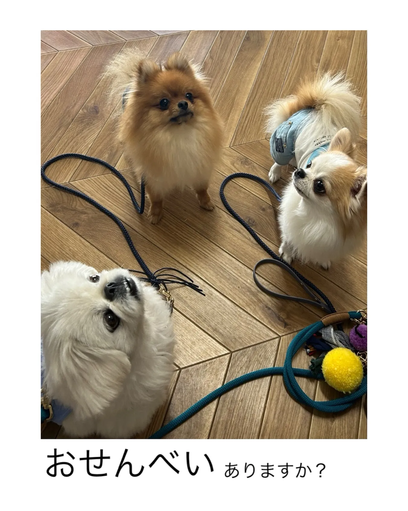 おせんべいありますか？