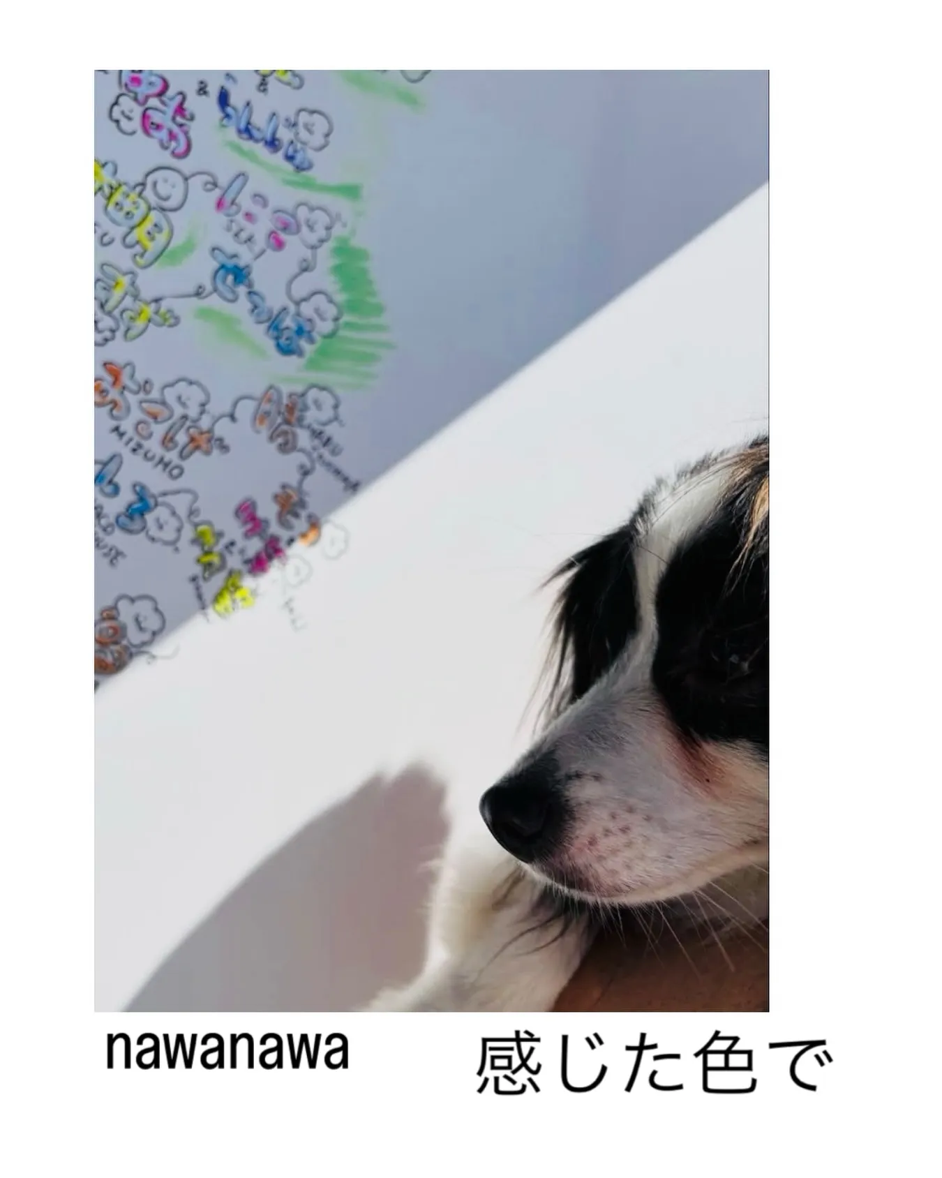 nawanawa 感じた色で