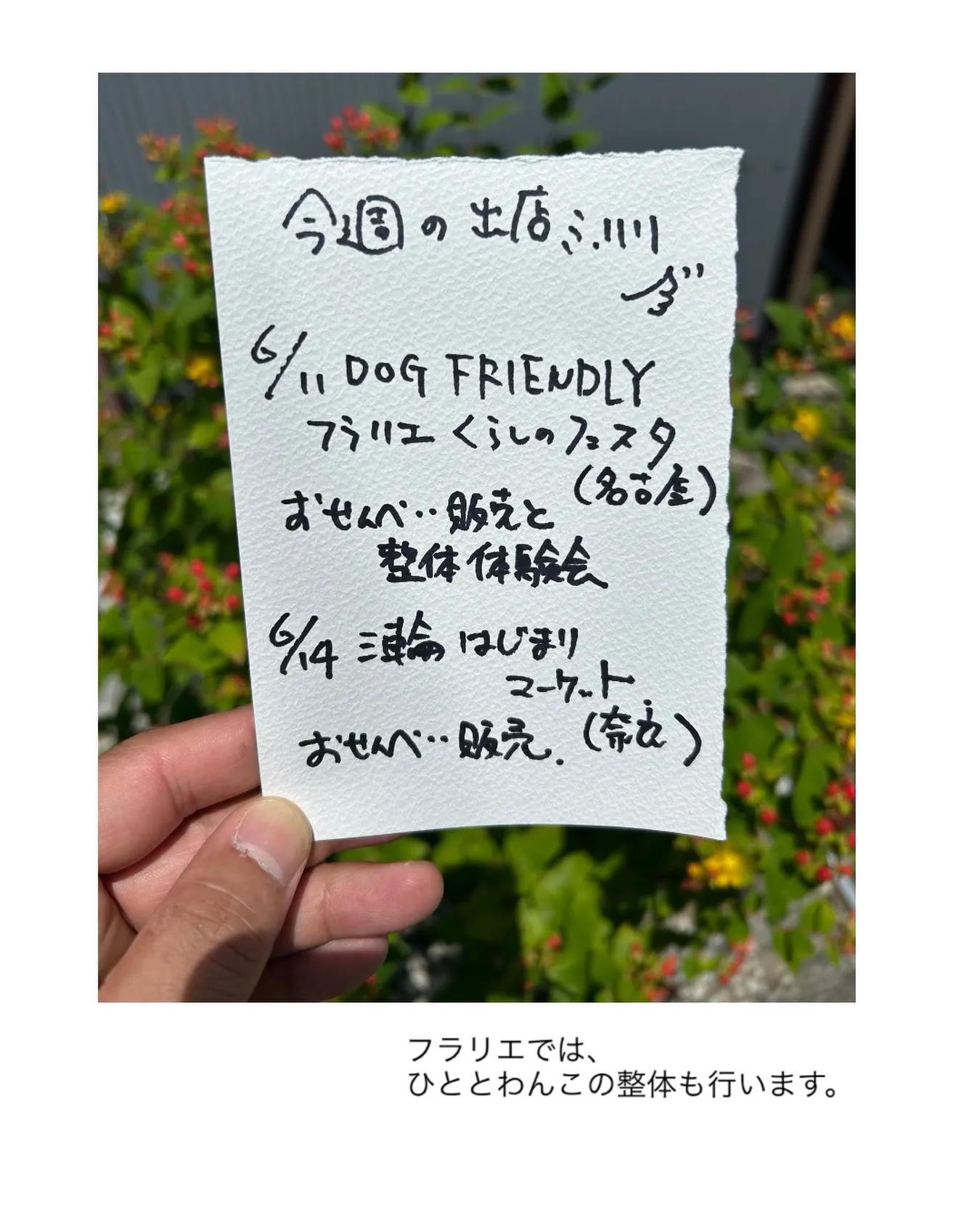 フラリエでは、おせんべい販売と整体体験会を行います。