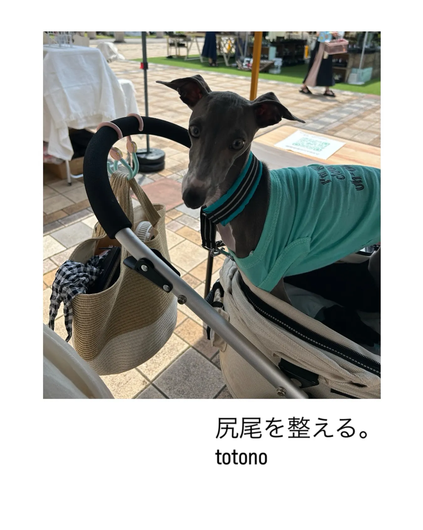 フラリエ暮らしのフェスタでは