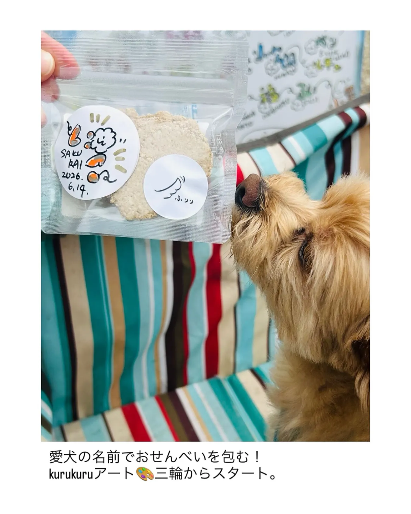 愛犬の名前で包むkurukuruアートです。