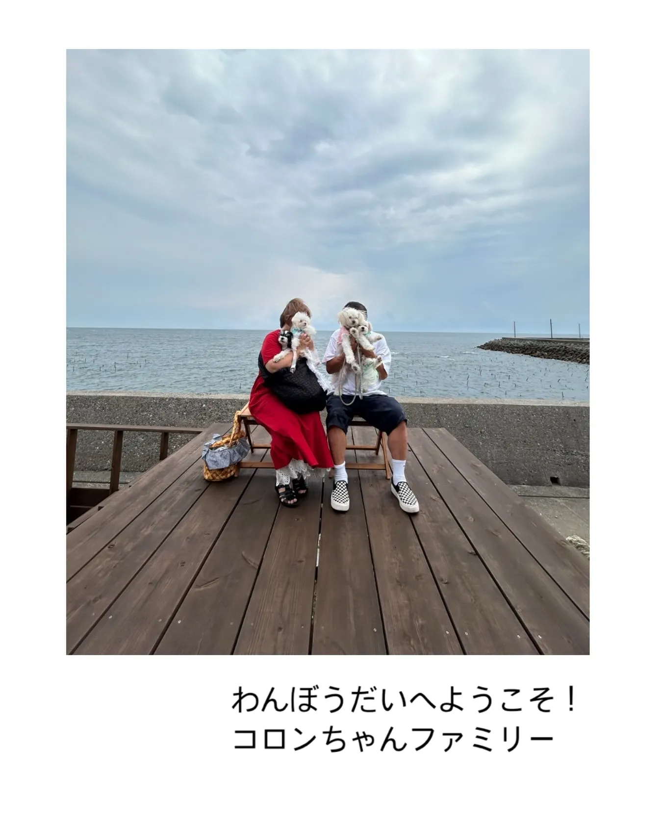 わんぼうだいへようこそ。