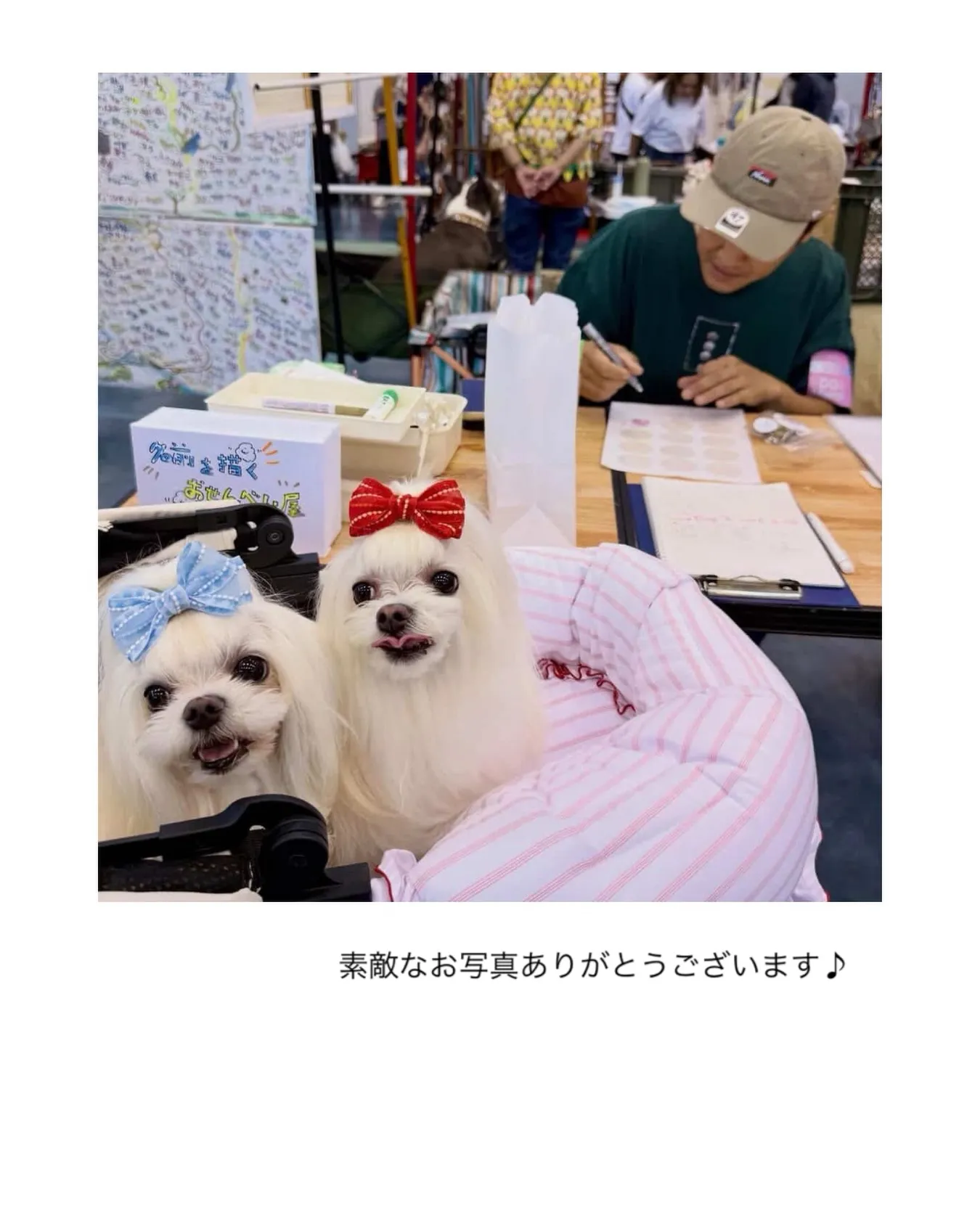 素敵なお写真を、投稿していただきありがとうございます。