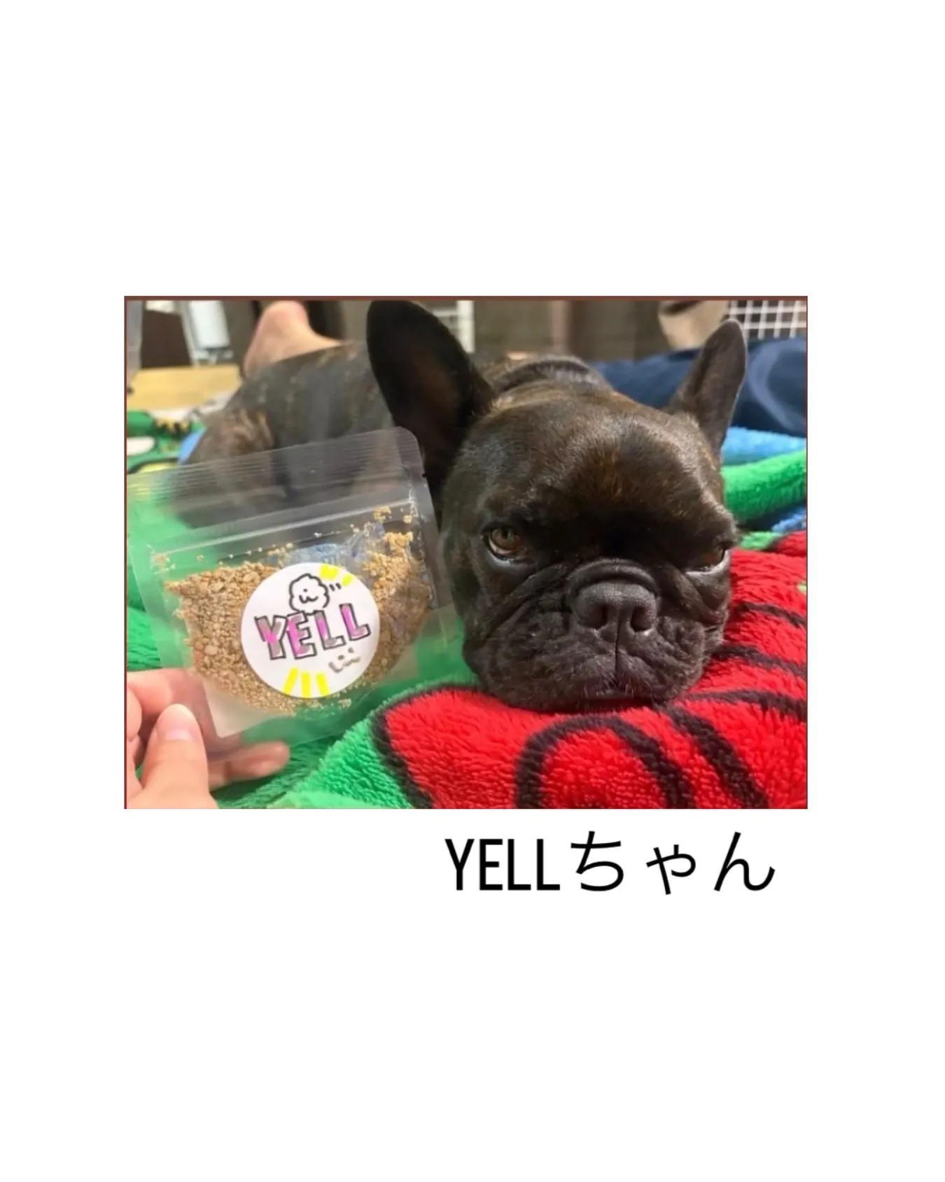 YElLLちゃん