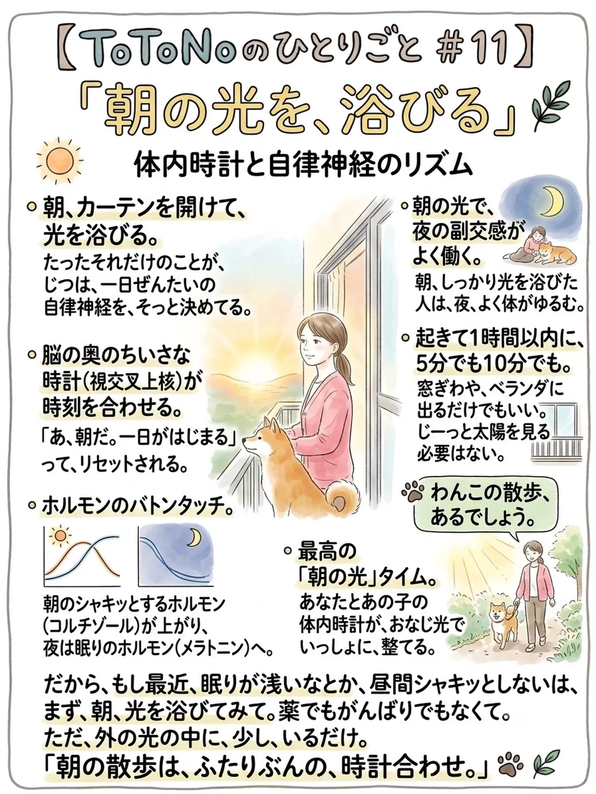「朝の光を、浴びる|体内時計と自律神経のリズム」ToToNo...