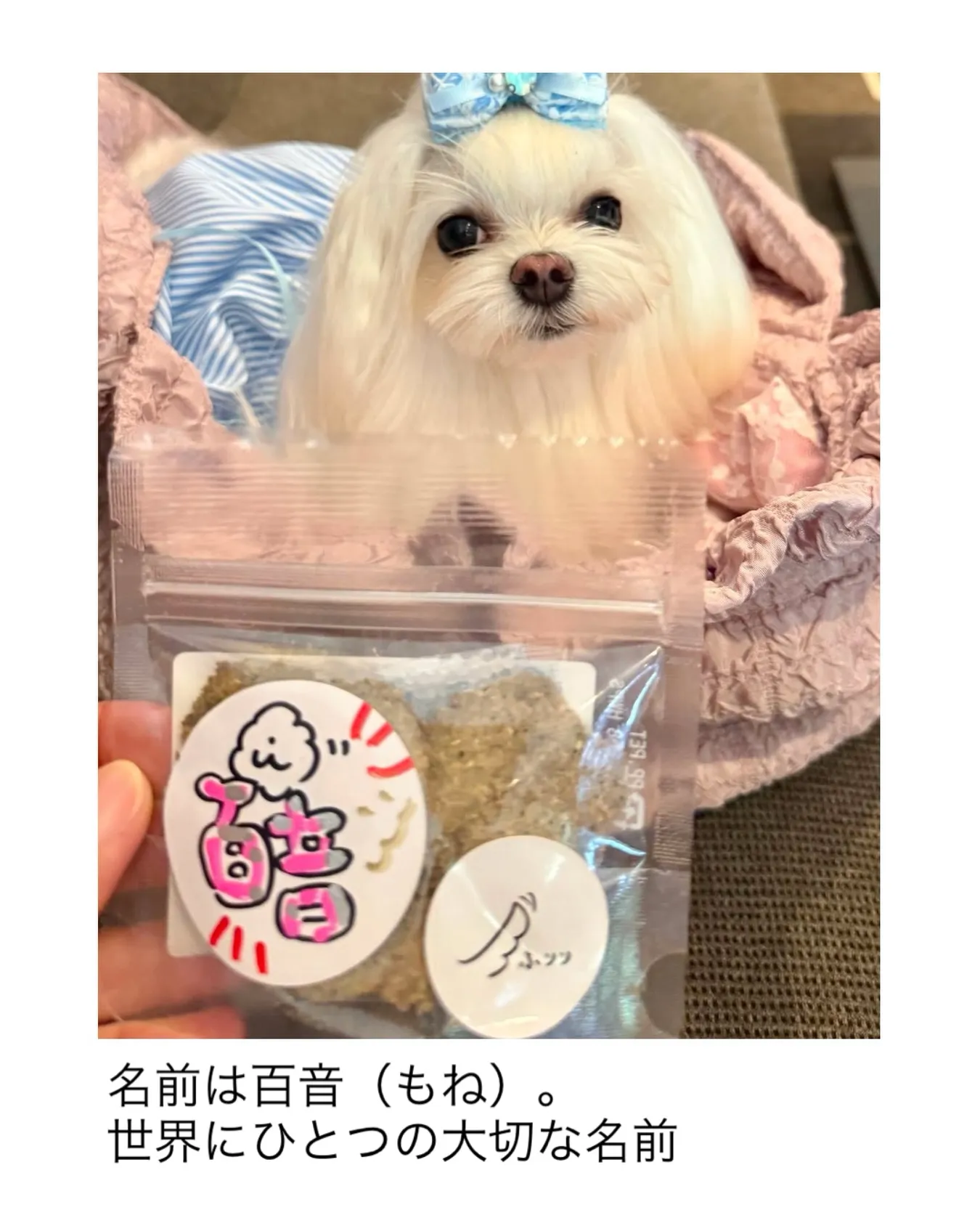 ご家族さまが、百音ちゃんとお名前おせんべいの写真載せてくださ...