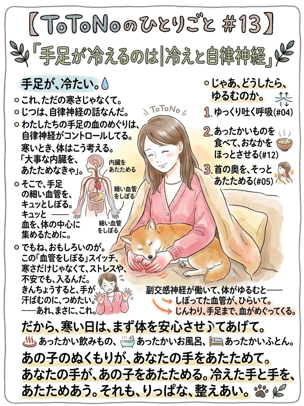 「手足が冷えるのは|冷えと自律神経」ToToNoのひとりごと...