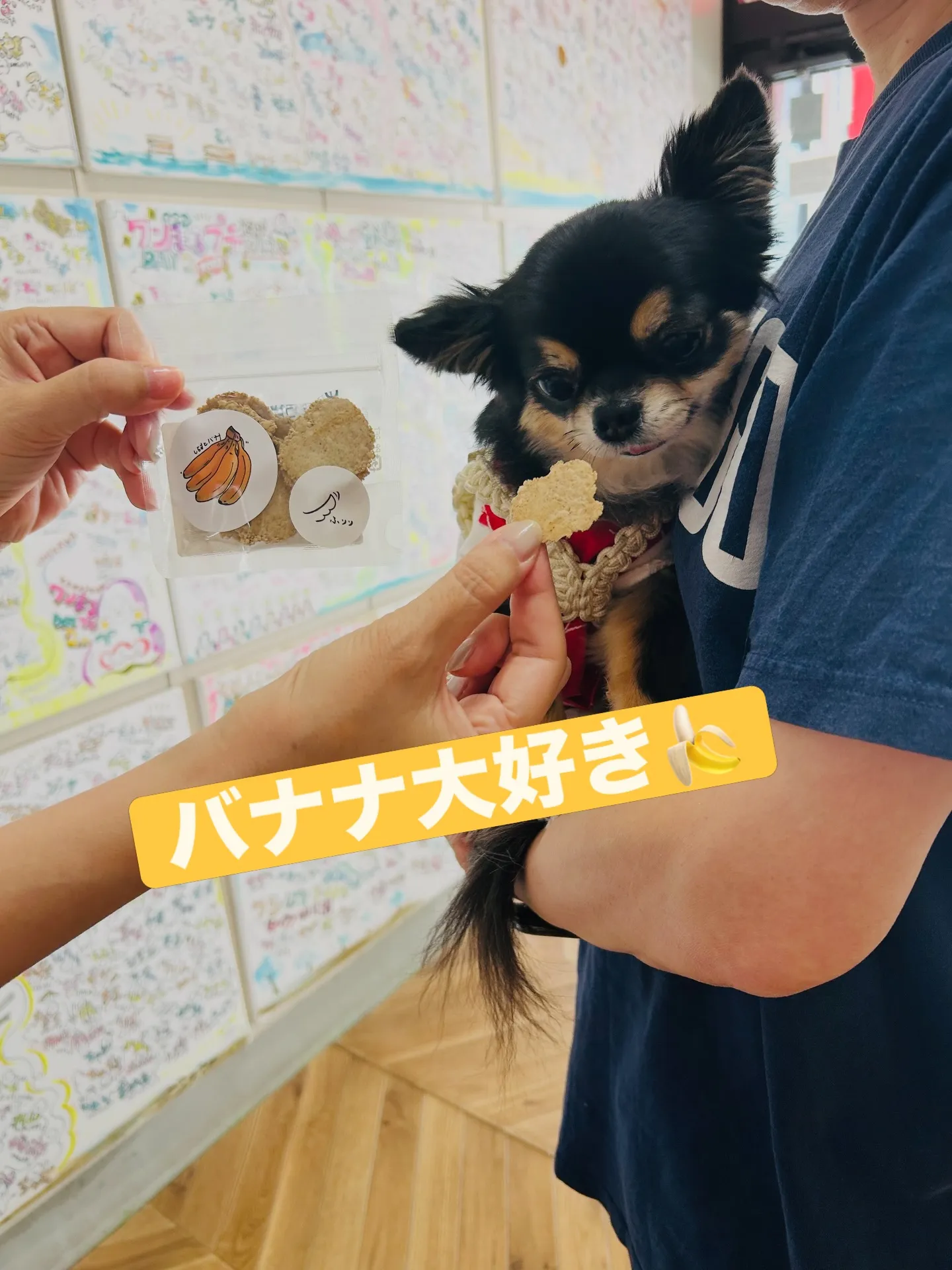 バナナが好きなアロちゃん🍌