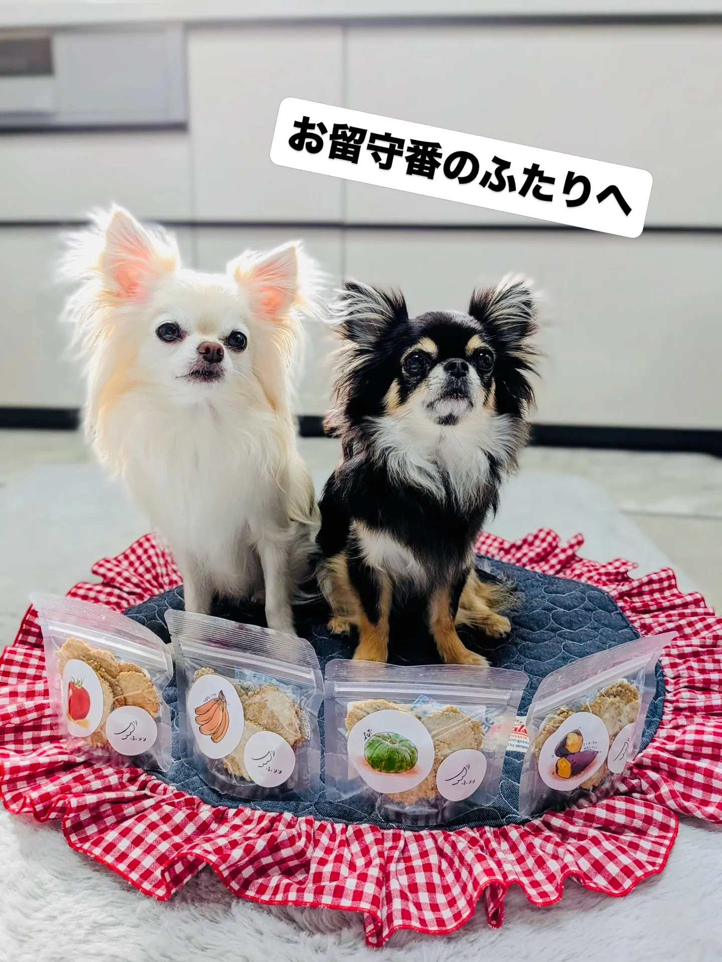 お留守番のふたりへ。