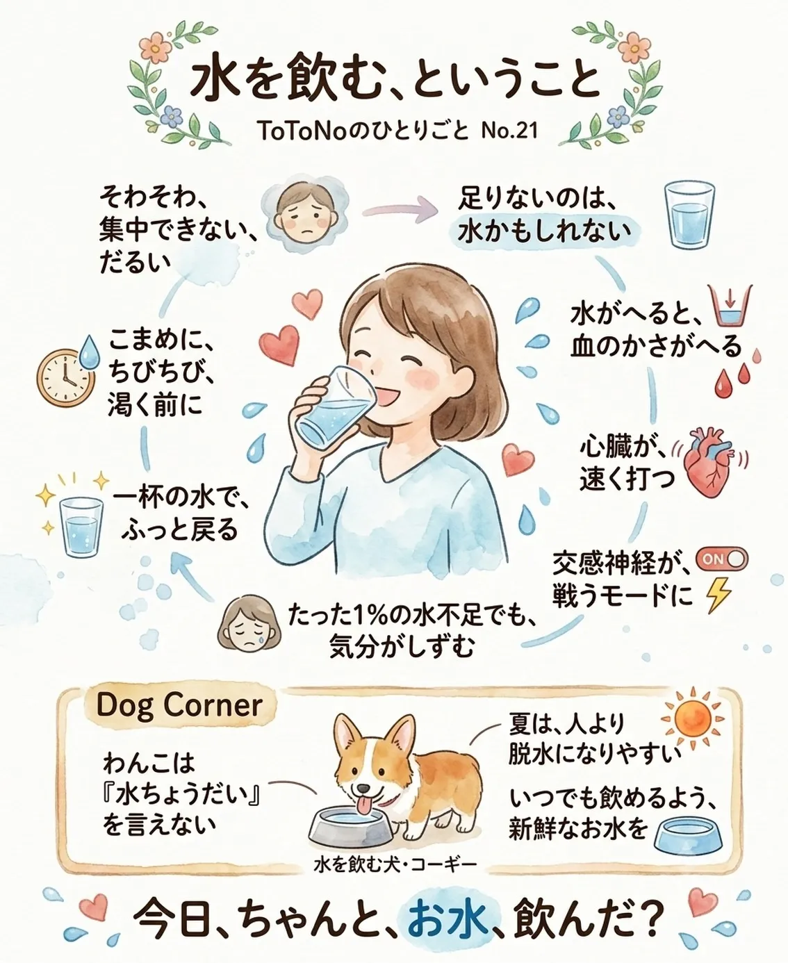 「水を飲む、ということ|水分と自律神経」ToToNoのひとり...
