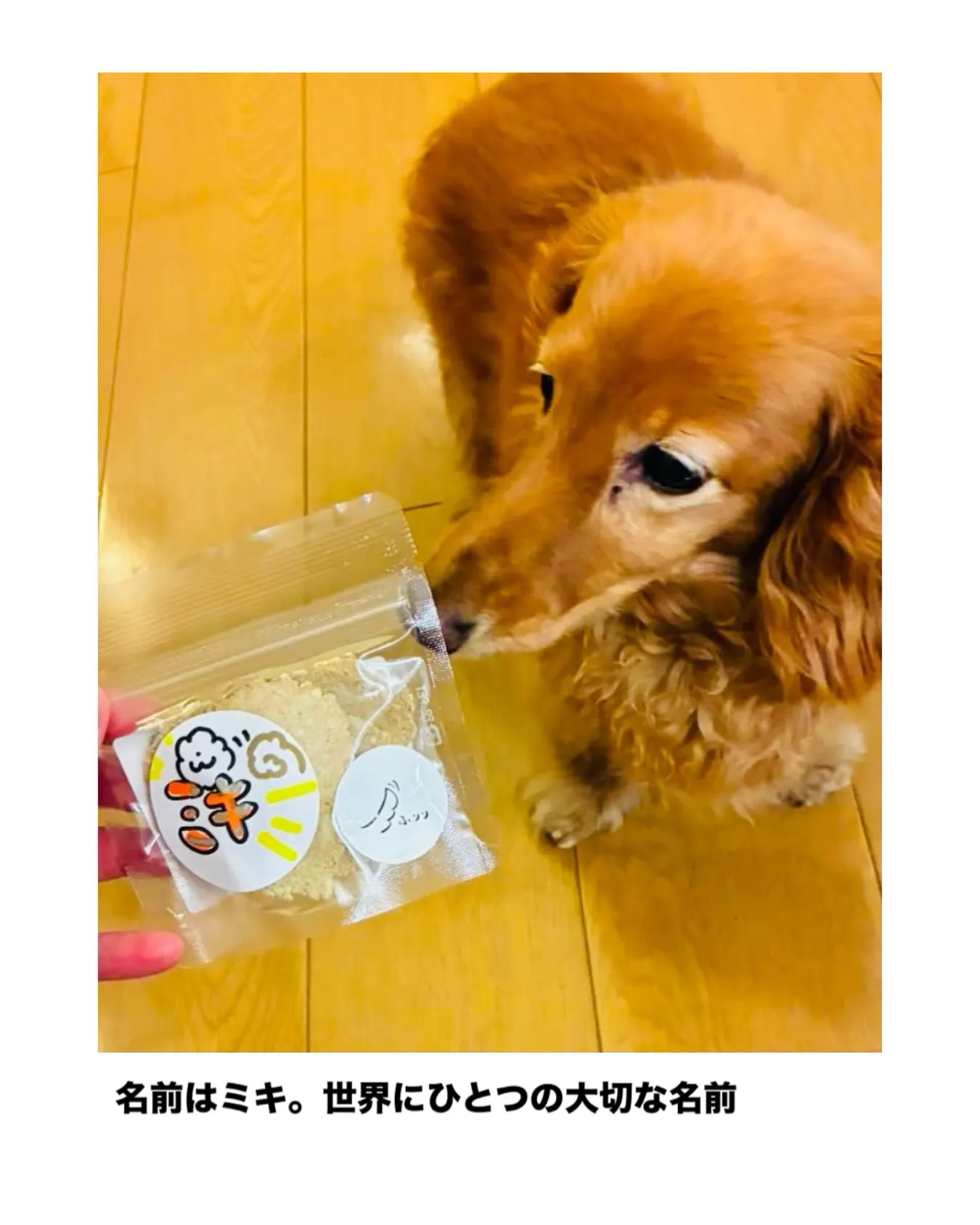 名前はミキ。